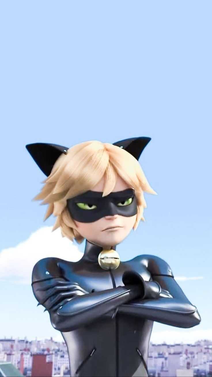 cat noir wallpaper angry Free Download