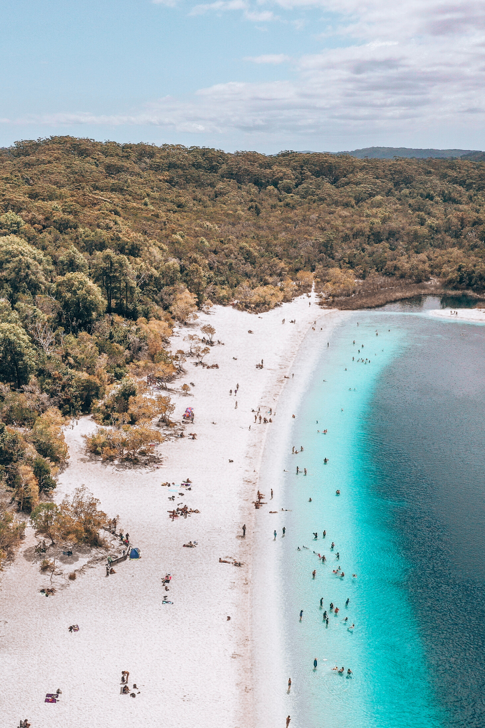 Fraser Island, Australia. RatPack Travel. Places to travel, Travel aesthetic, Australian travel