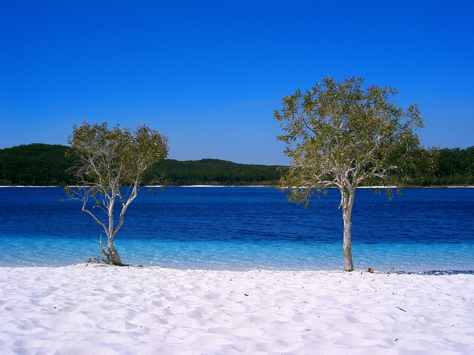 Fraser Island Wallpapers - Wallpaper Cave