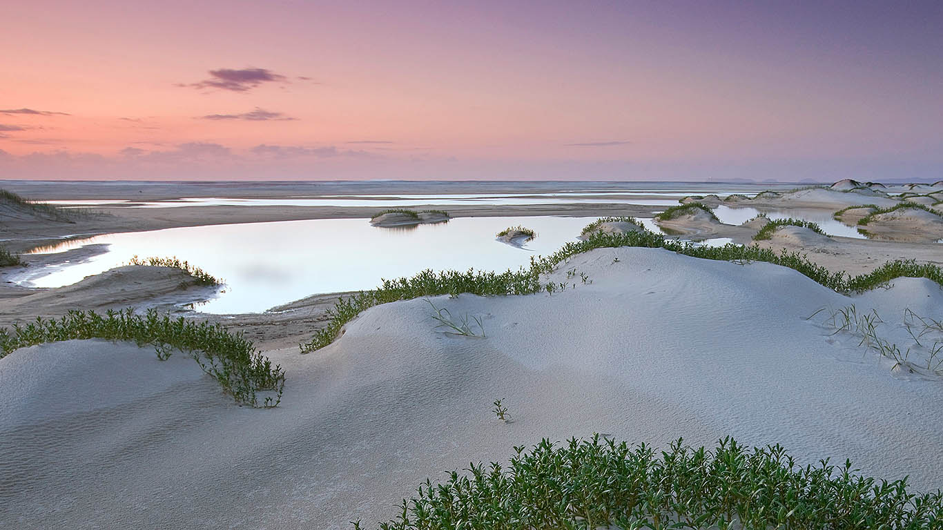 Bing Wallpaper Archive