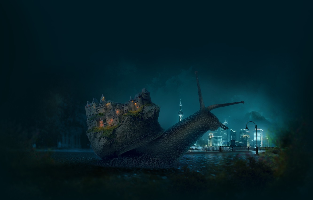Wallpaper animals, night, the city, castle, the moon, mood, Macro, snail image for desktop, section абстракции