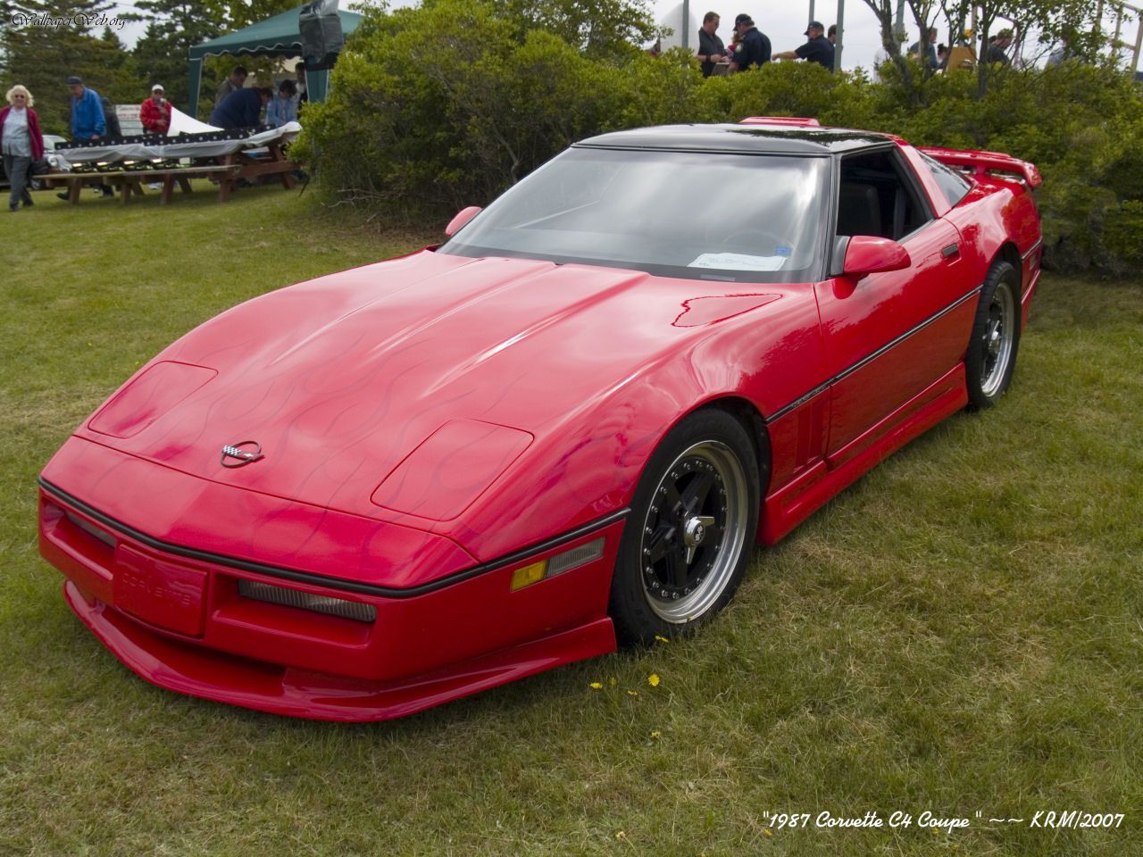 Cars: 1987 AM28 Corvette C4 Coupe, picture nr. 25613