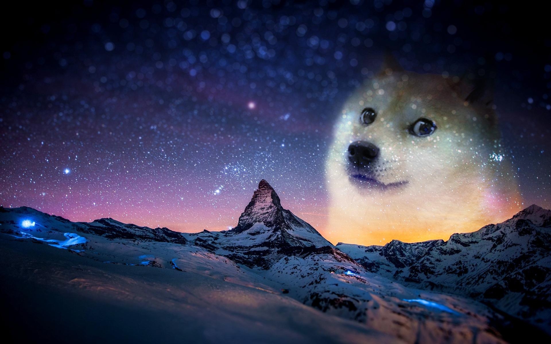 twinkie doge in space