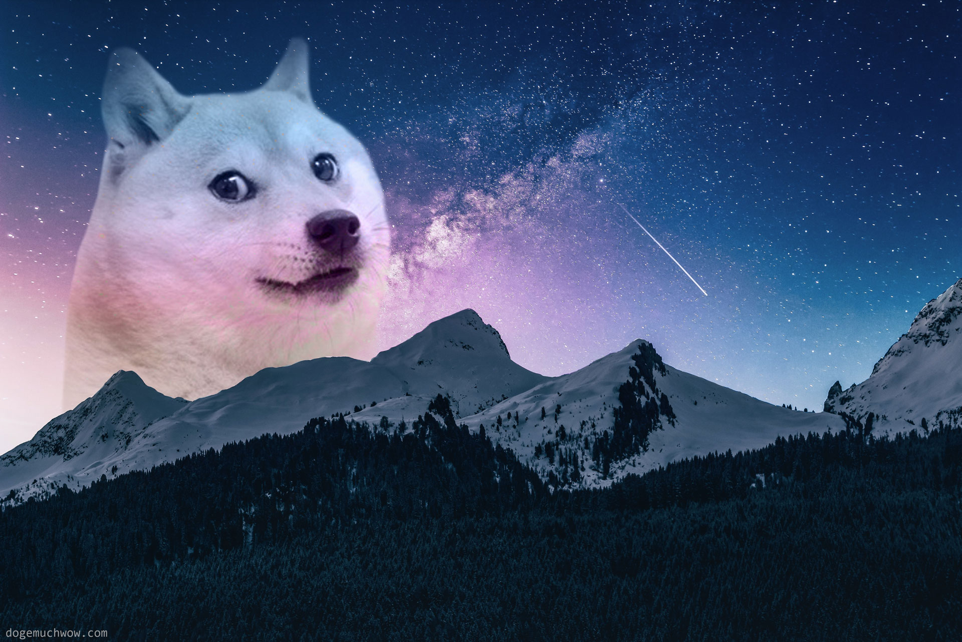 Space Doge Wallpaper