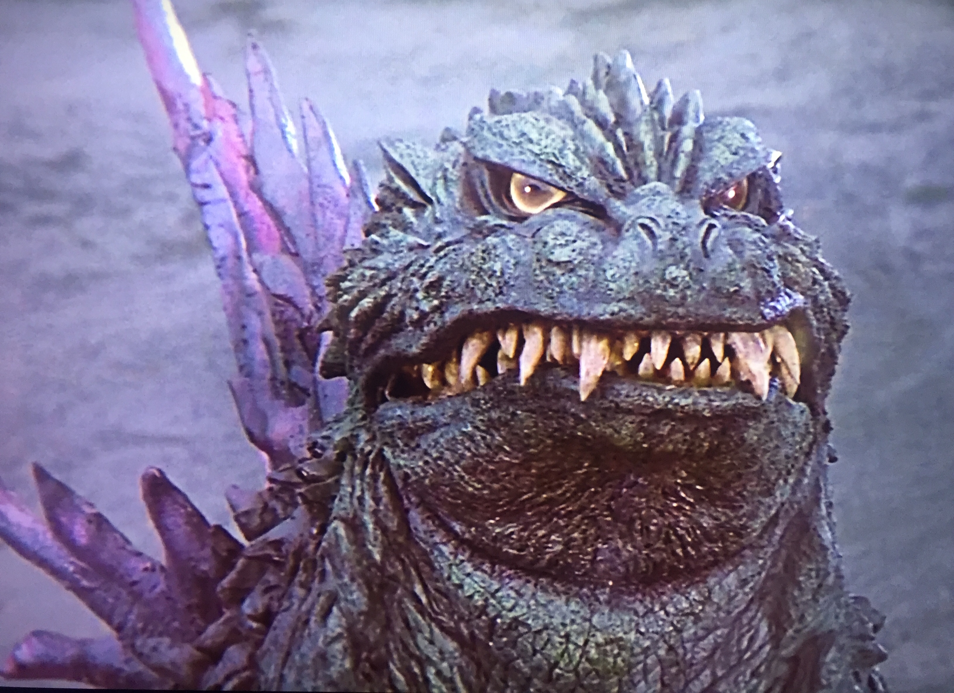 Millennium Godzilla Wallpapers Wallpaper Cave Millennium Godzilla Wallpapers Wallpaper Cave