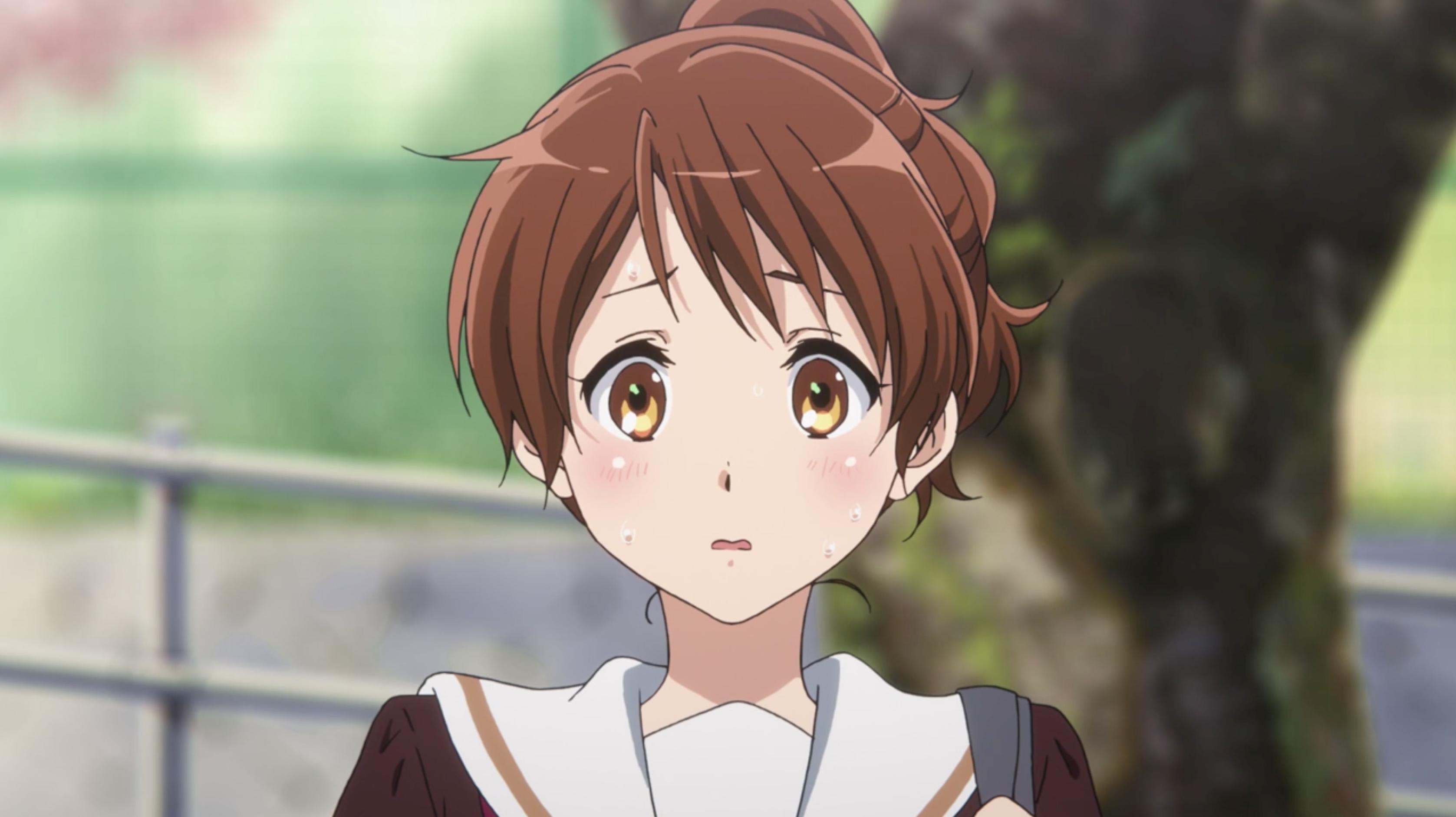 Hibike! Euphonium (TV Series 2015– )