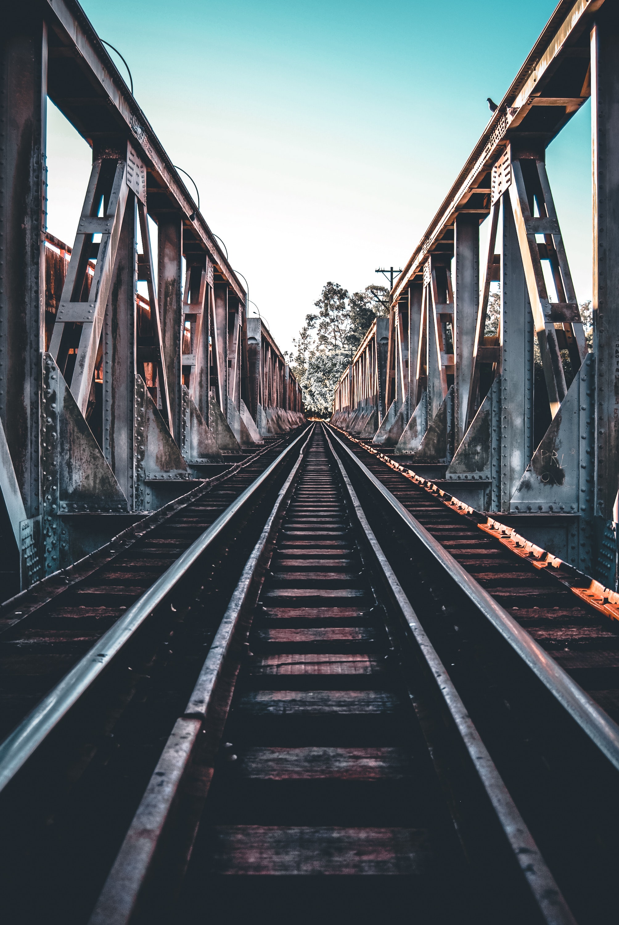 20,Best Train Tracks Photo · 100% Free Downloads
