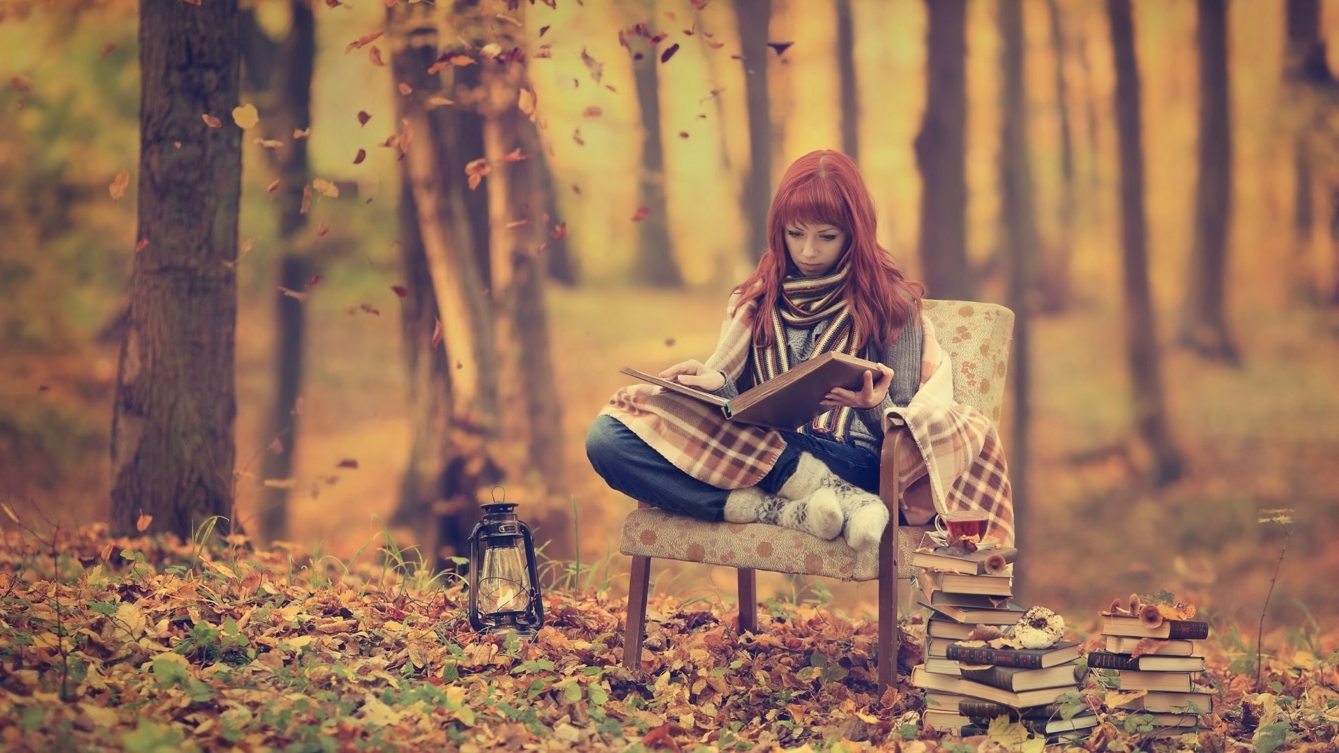 Wallpaper, sunlight, forest, people, redhead, books, reading, introvert, spring, Person, tree, autumn, season, habitat 1920x1080