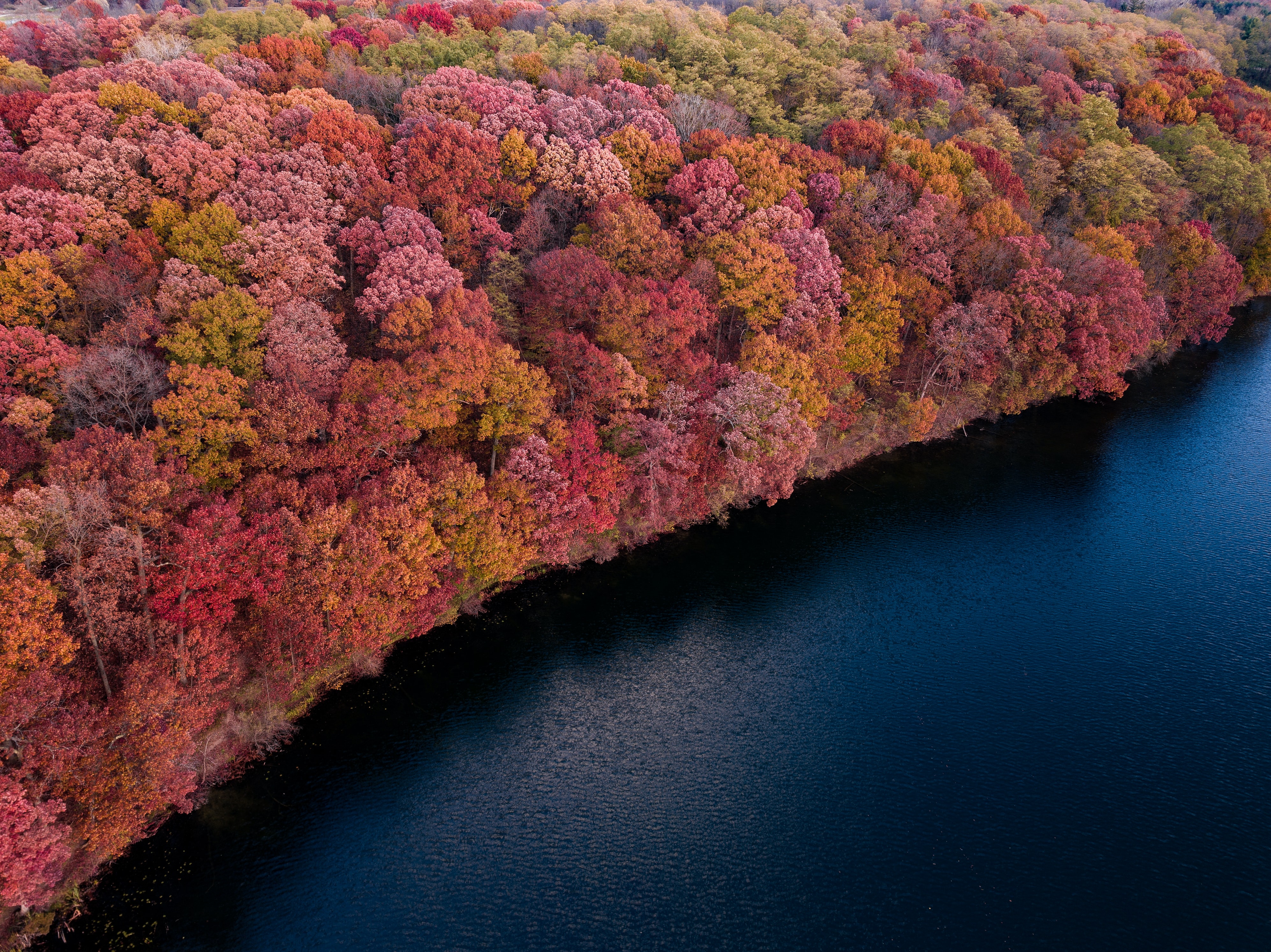 Colorful forest Wallpaper 4K, Trees, Red, Yellow, Aerial view, Lake, River, Nature