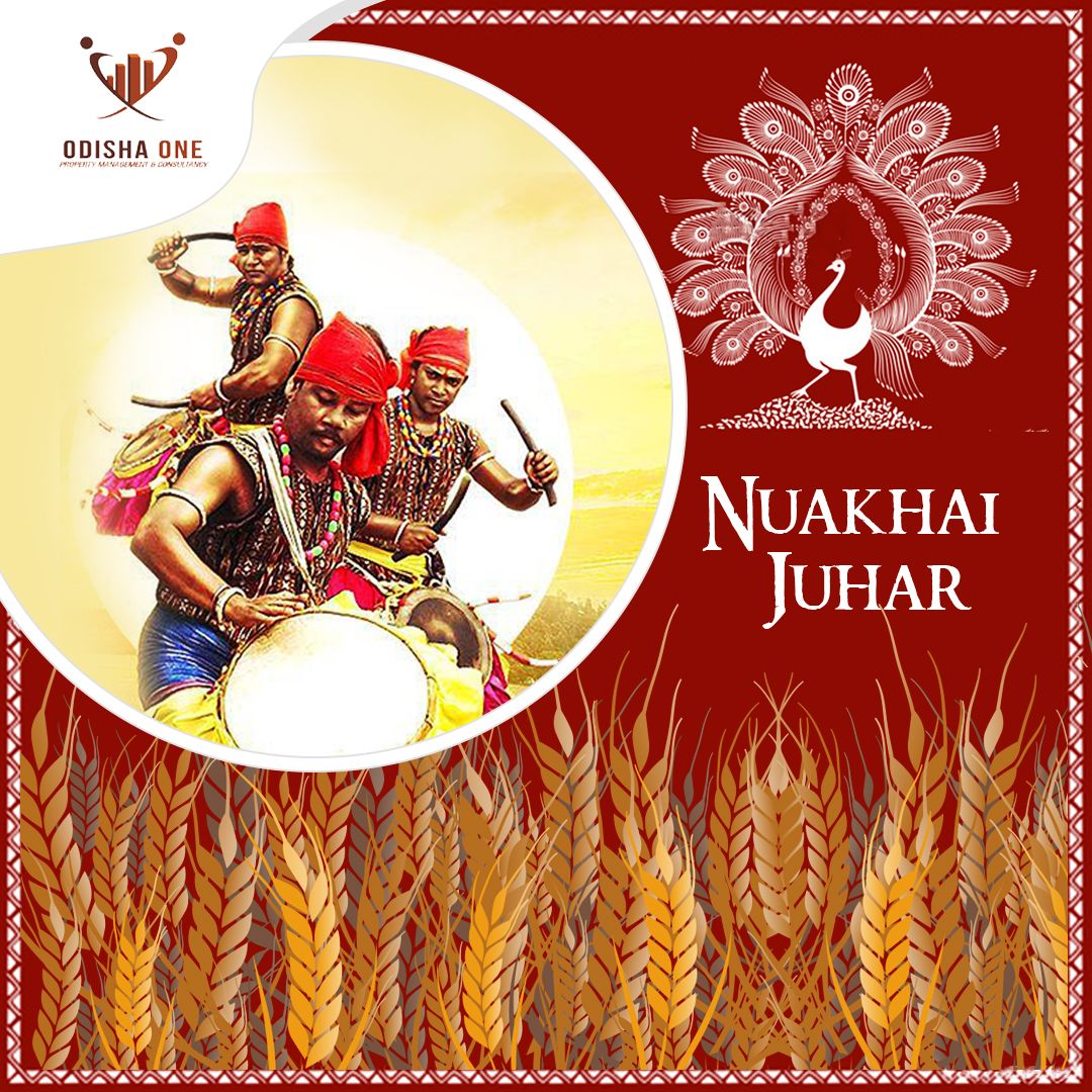 Banner template with nuakhai juhar festival