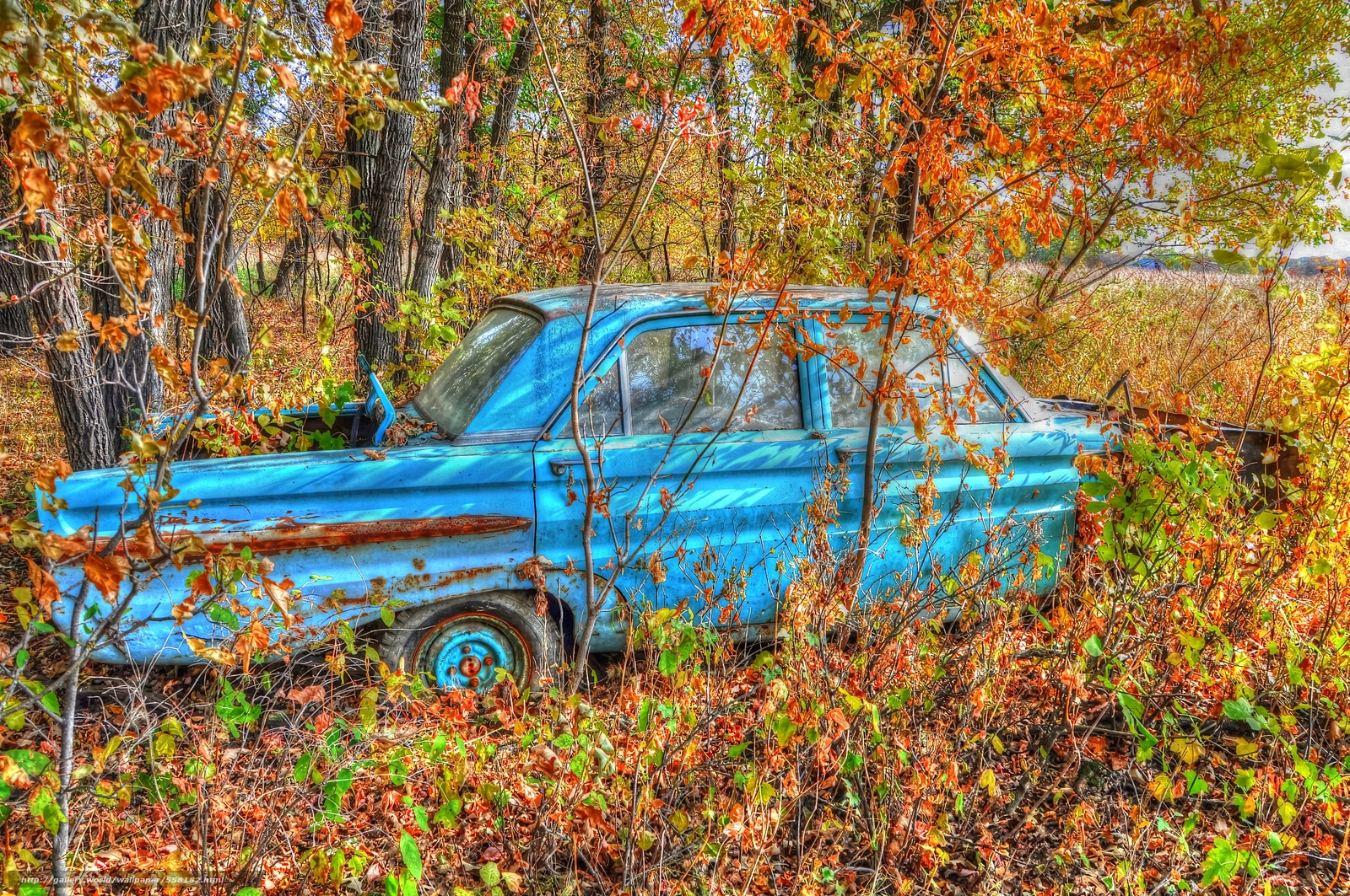 Free download wallpaper forest autumn abandoned car desktop wallpaper [1600x1063] for your Desktop, Mobile & Tablet. Explore Abandoned Cars Wallpaper. Abandoned Places Wallpaper, Faded Wallpaper, Shipwreck Wallpaper