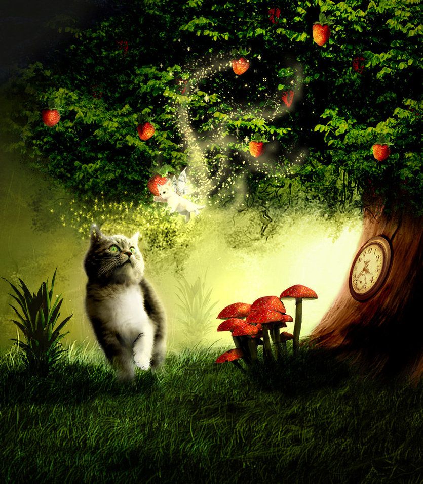 Cat Fairy. Cats, Magic forest, Fantasy