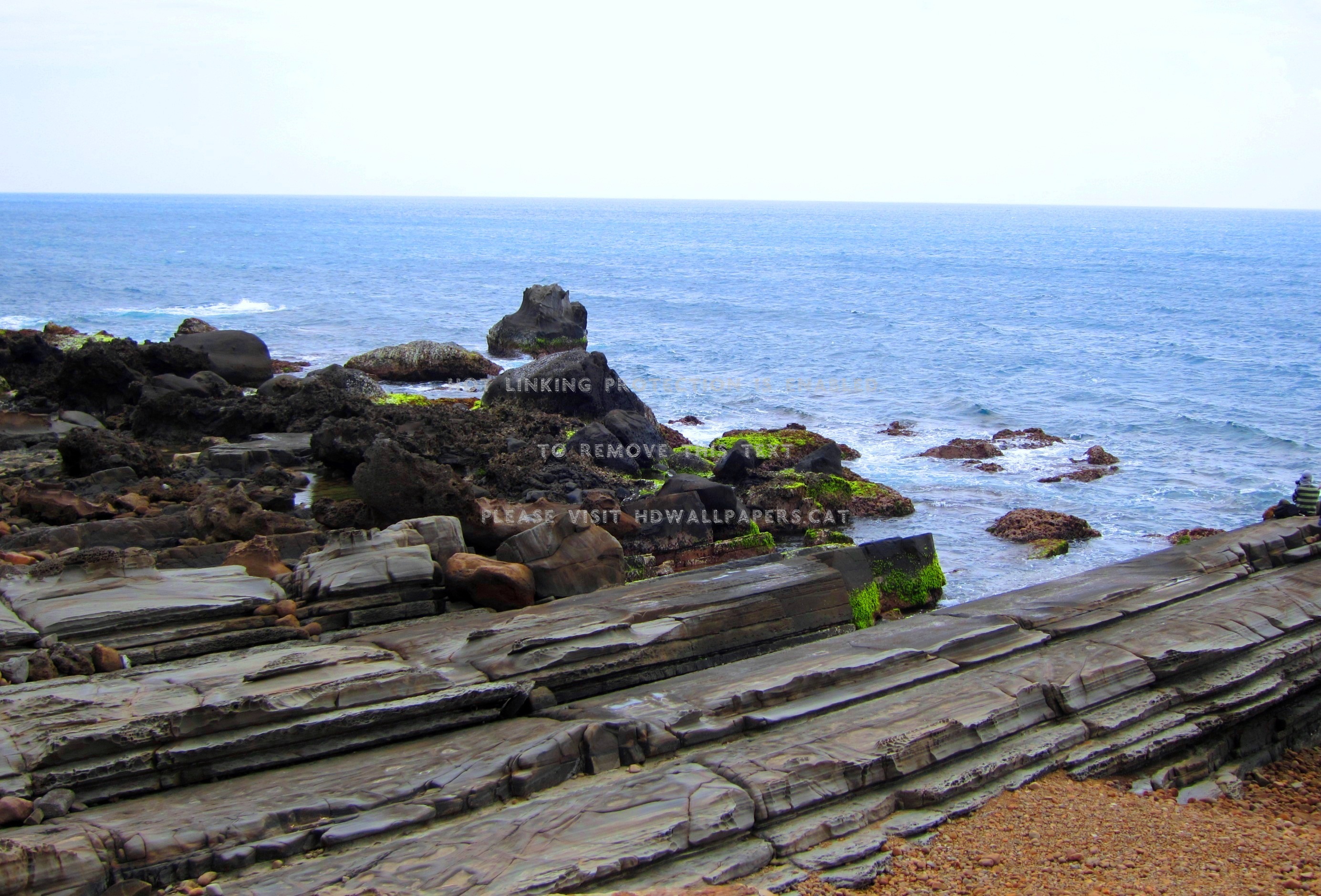 marine abrasion landscape wave sea moss