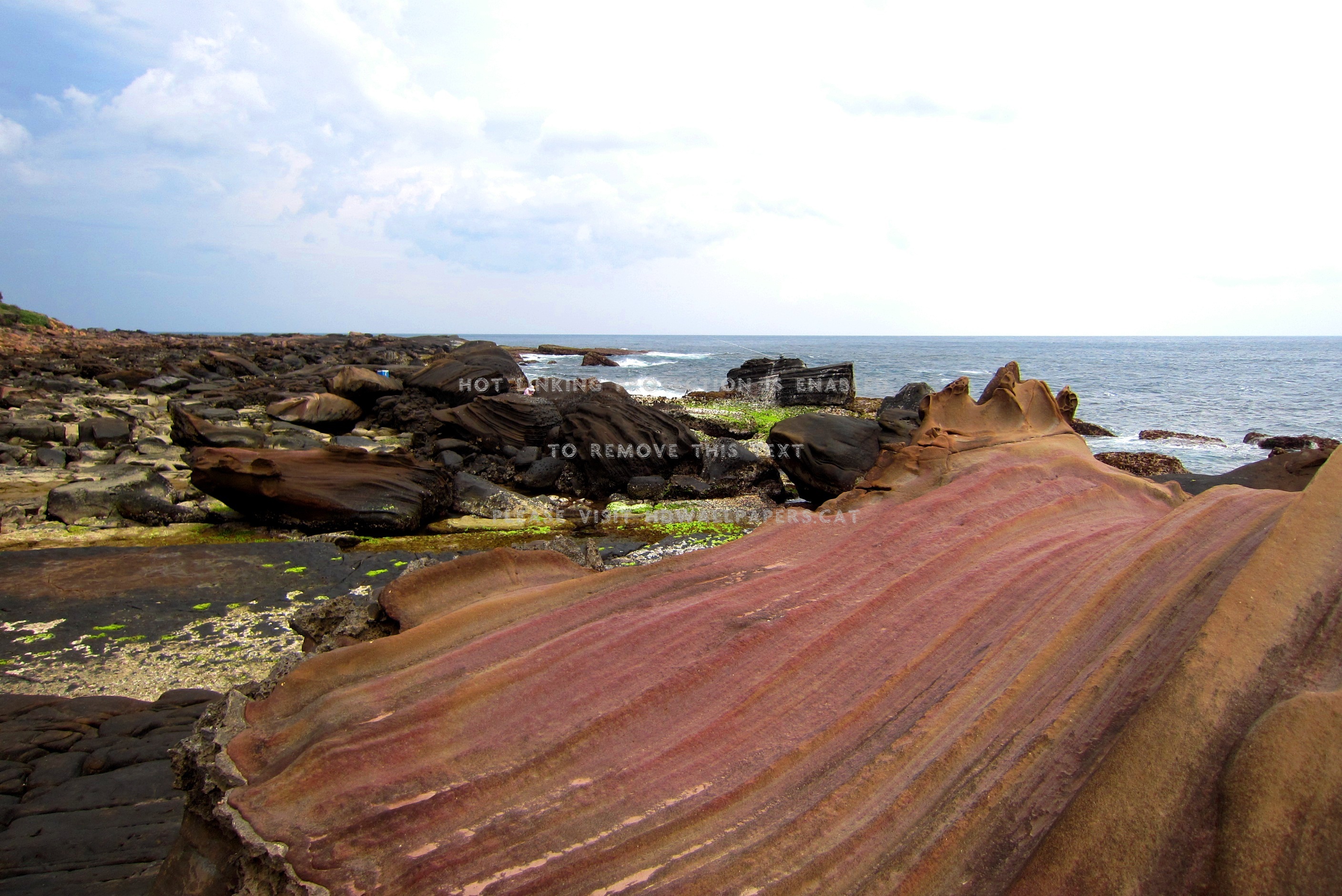 marine abrasion landscape wave sea moss