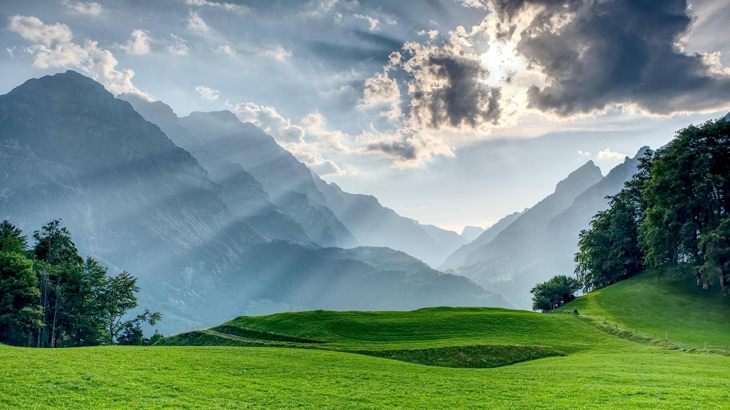 Idyllic Summer Landscape With Mountain Lake In The Alps Stock Photo   Download Image Now  iStock