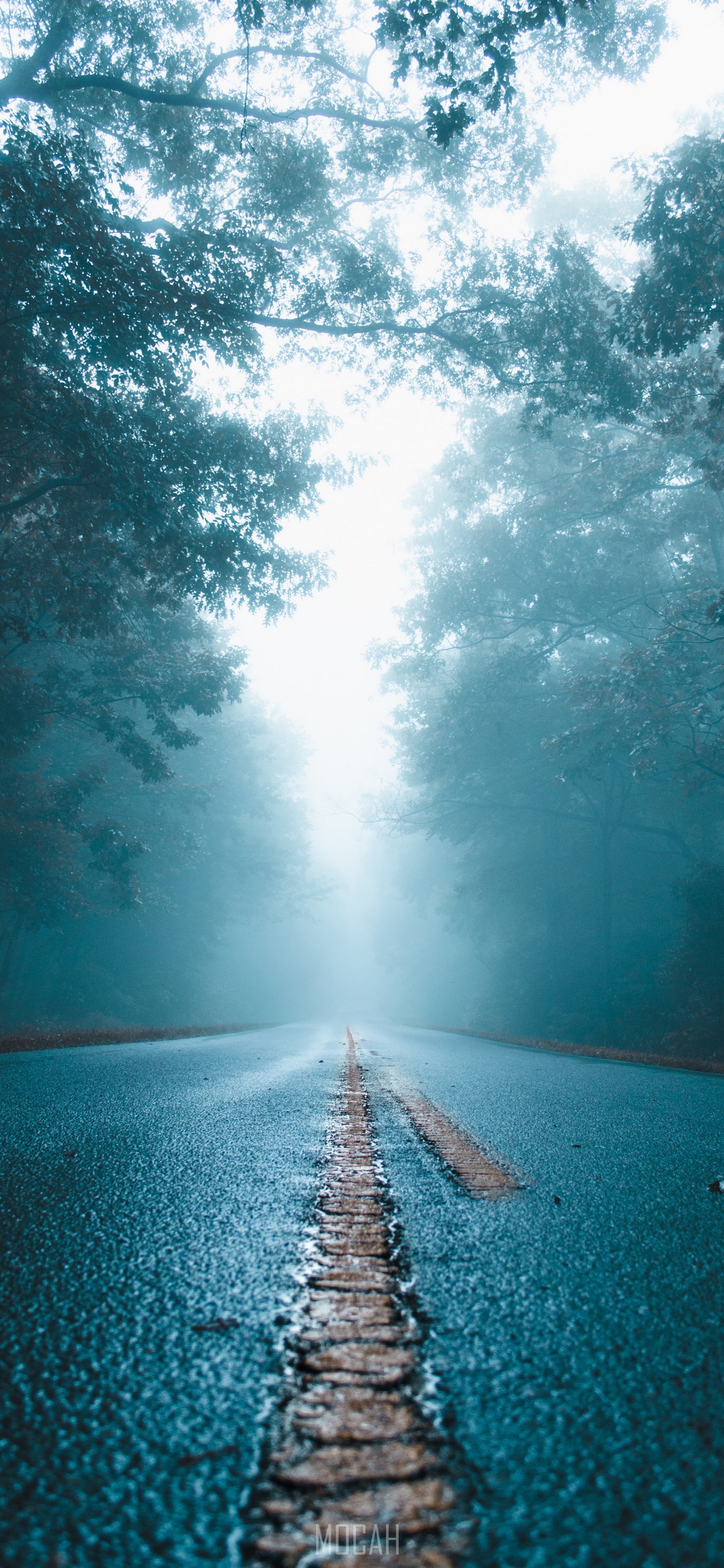 Nature iPhone 11 Pro Max Wallpapers - Wallpaper Cave