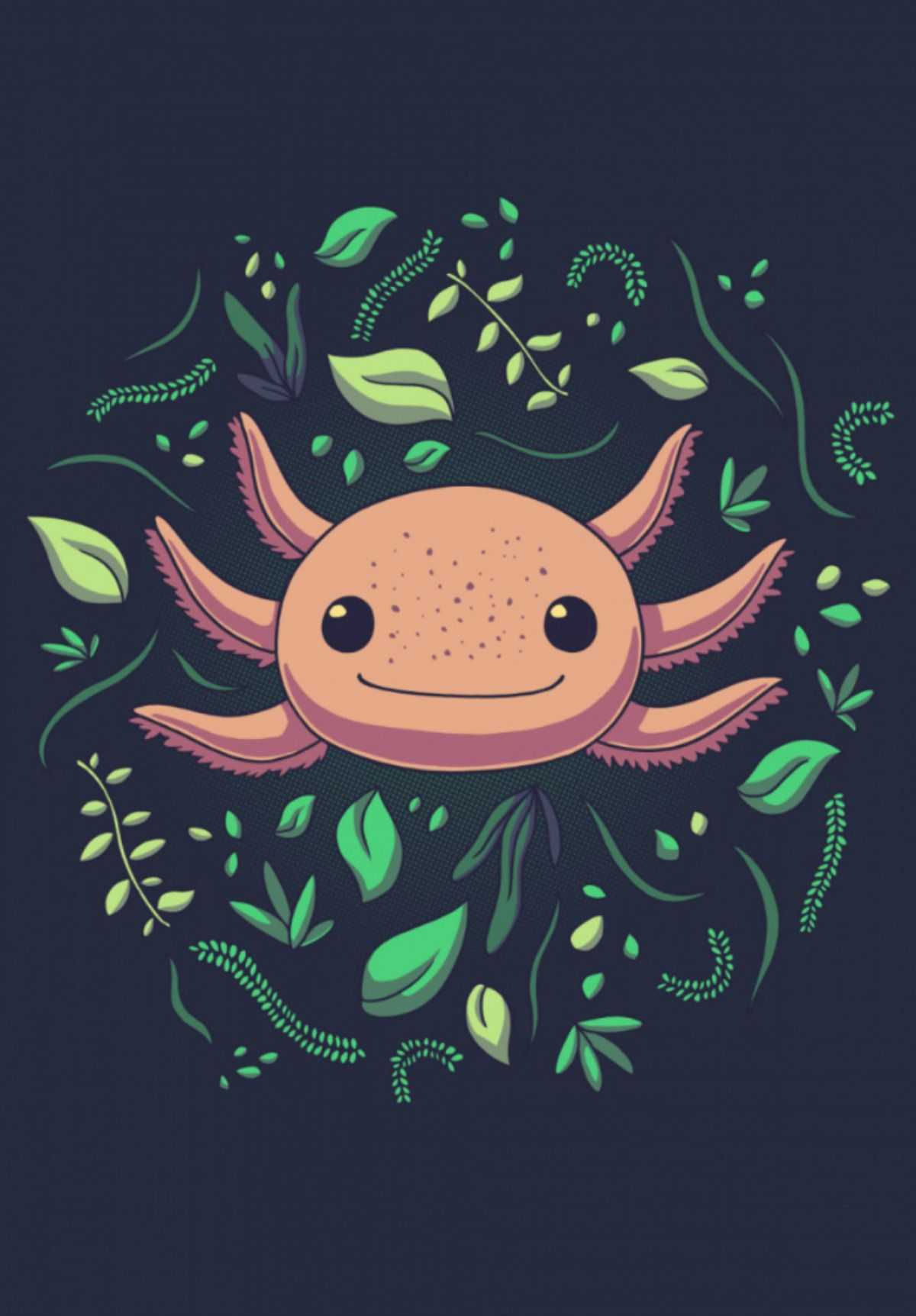 ArtStation cute axolotl HD phone wallpaper  Pxfuel