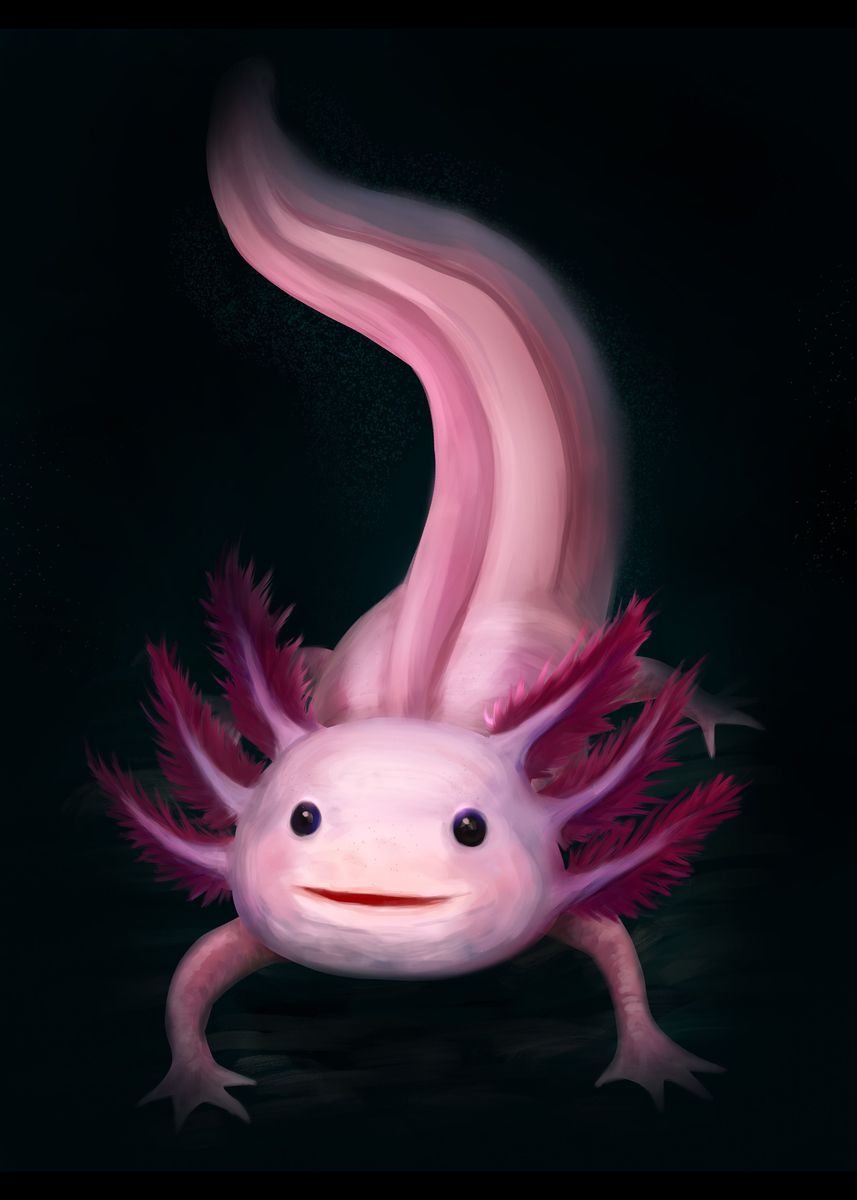 Axolotl Aesthetic Wallpapers - Wallpaper Cave