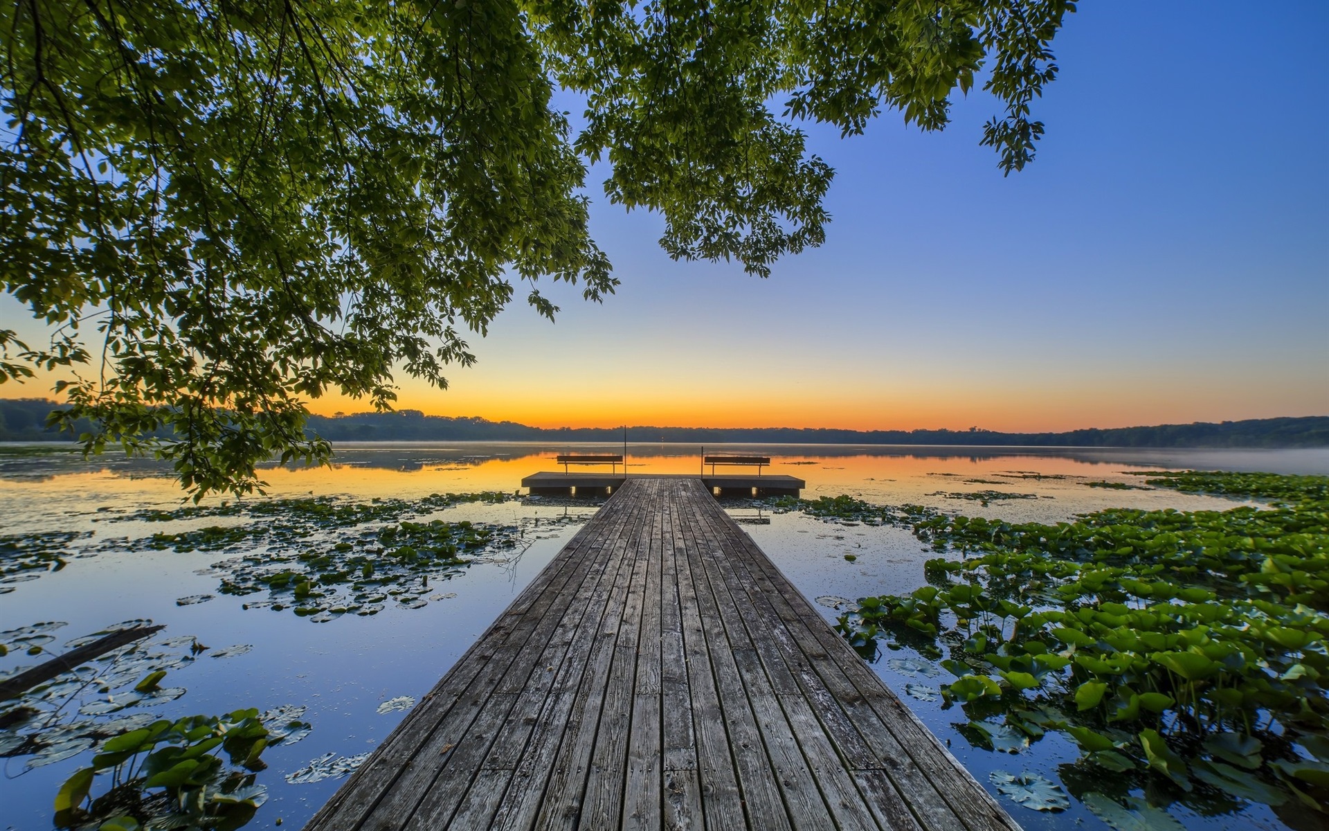 Lotus Lake, Pier, Trees 640x1136 IPhone 5 5S 5C SE Wallpaper, Background, Picture, Image