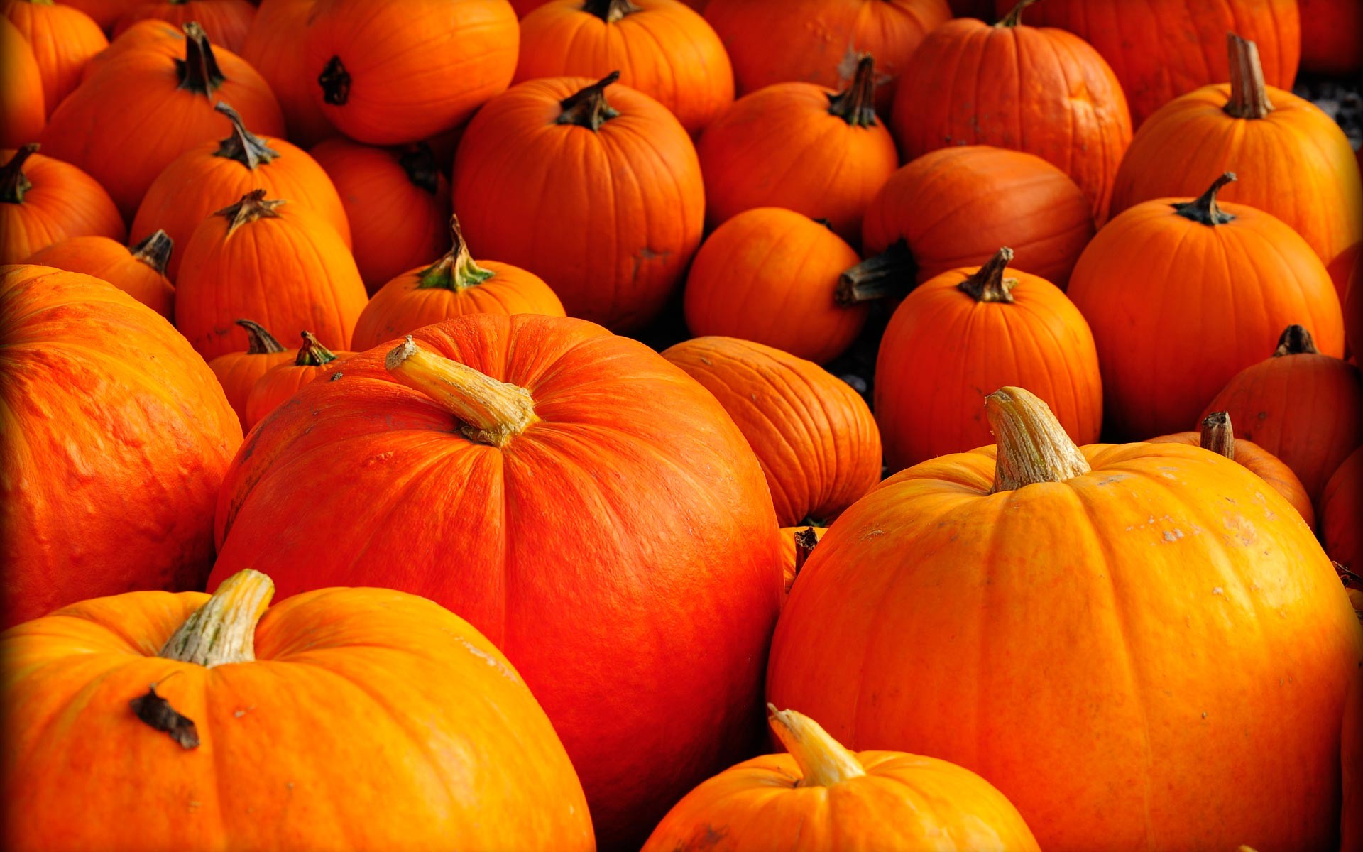 Pumpkin And Autumn Leaves HD Desktop Wallpaper Wallpaper HD Pumpkin