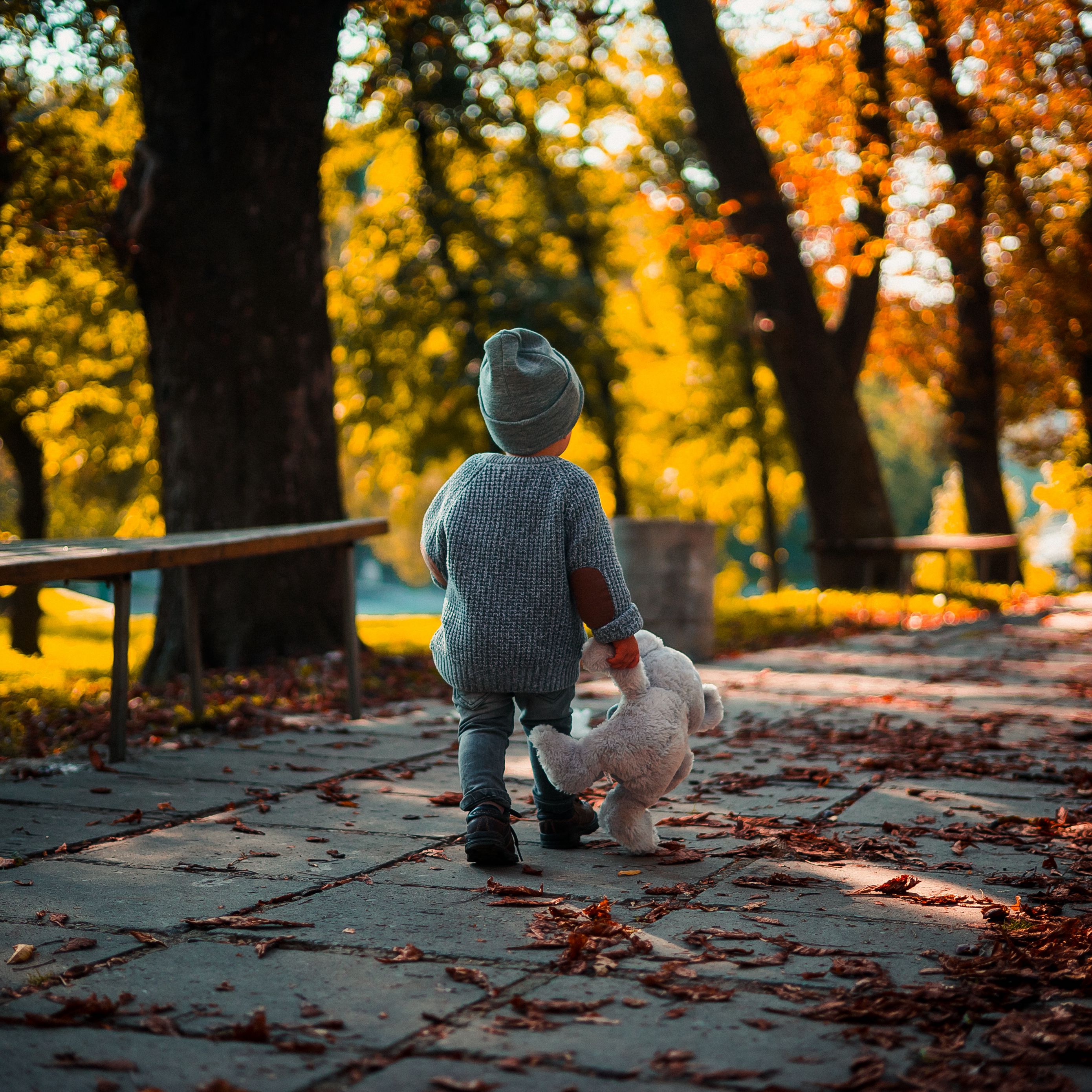 Download wallpaper 2780x2780 child, teddy bear, autumn, walk ipad air, ipad air 2, ipad 3, ipad 4, ipad mini 2, ipad mini 3, ipad mini 4, ipad pro 9.7 for parallax HD background