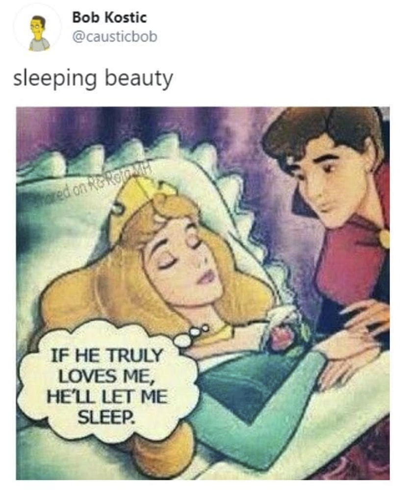 These Hilarious Memes Are For All Those Disney Princesses Out There