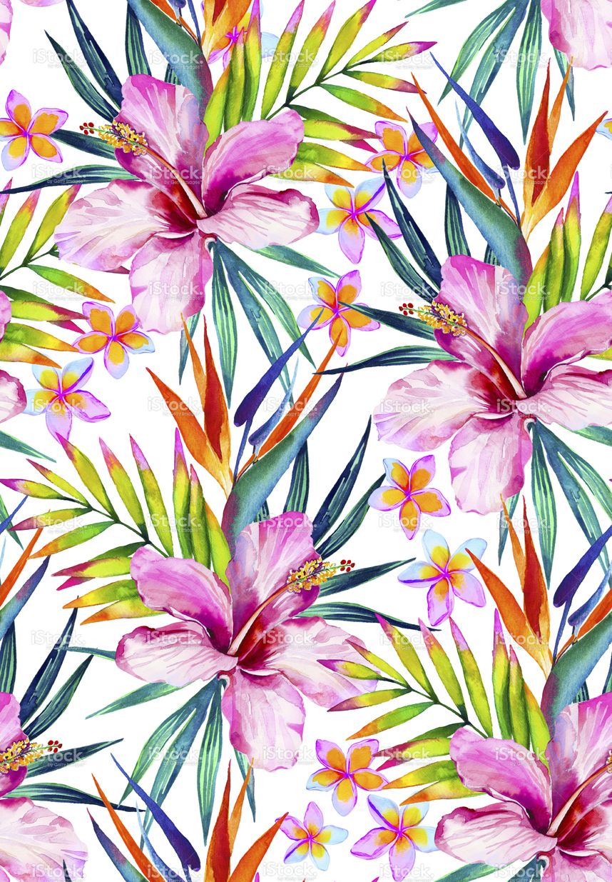 colorful tropical seamless pattern, with hibiscus, frangipani, bird. Flower wallpaper, Flower art, Flower painting