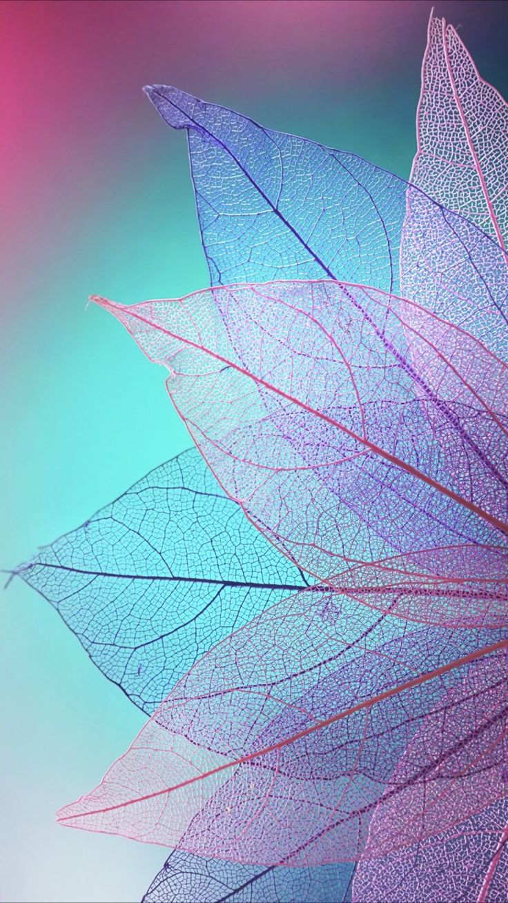 Colorful wallpaper. Colorful wallpaper, Android wallpaper, Flower phone wallpaper