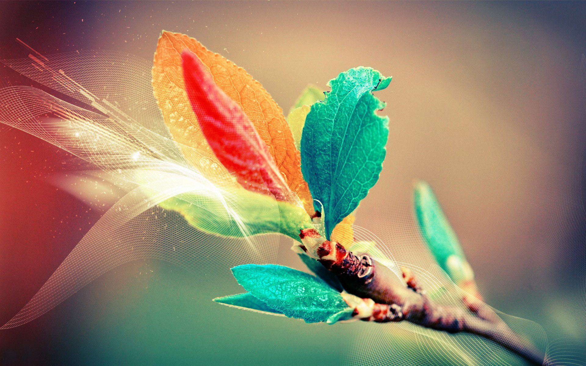 Desktop Wallpaper Abstract Artwork Of Colorful Leaves, HD Image, Picture, Background, Fv6lmk