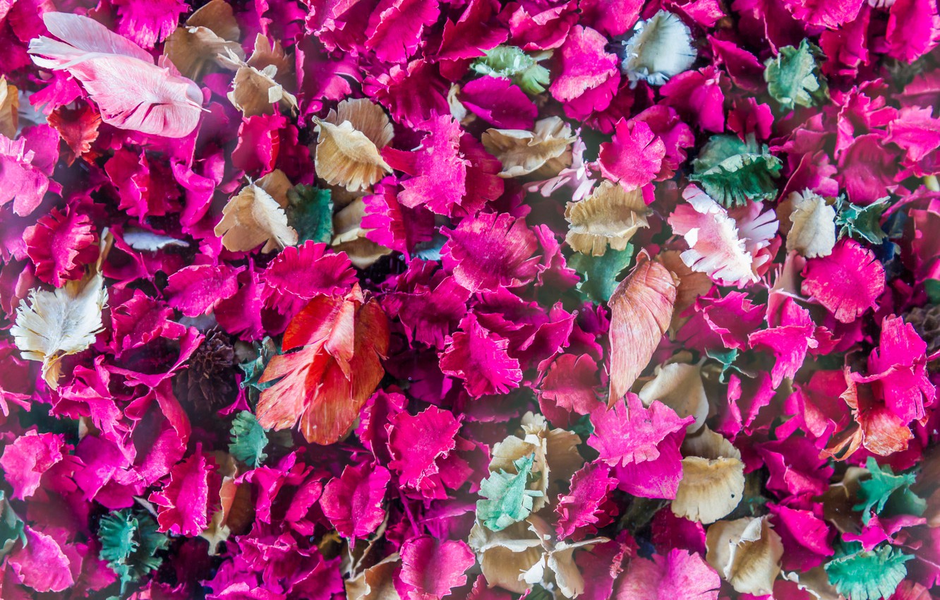 Photo Wallpaper Leaves, Petals, Colorful, Dry, Leaves