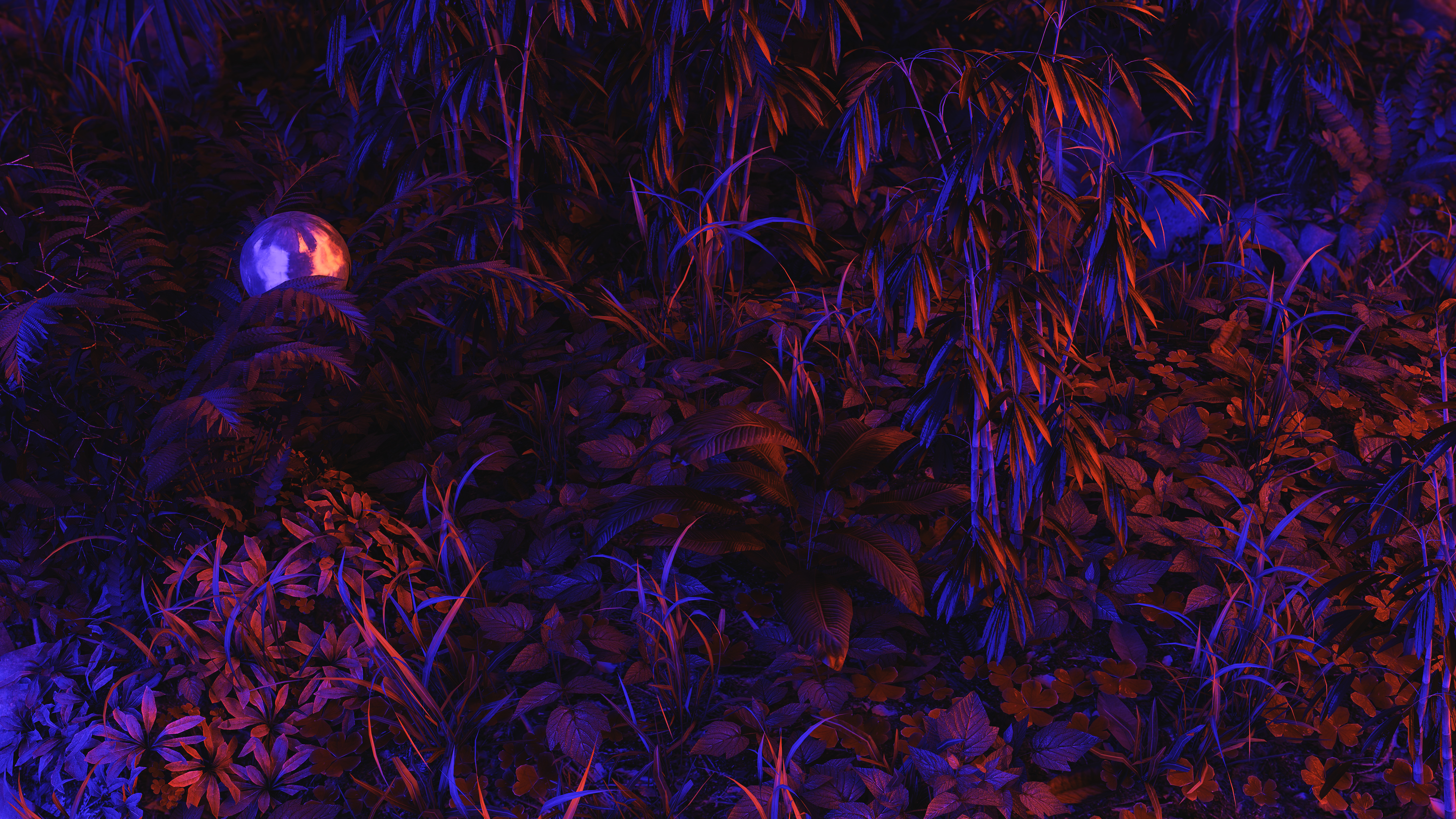 Wallpaper, 3D graphics, CGI, digital art, jungle, plants, ball, reflects, neon lights, grass, fern 3840x2160
