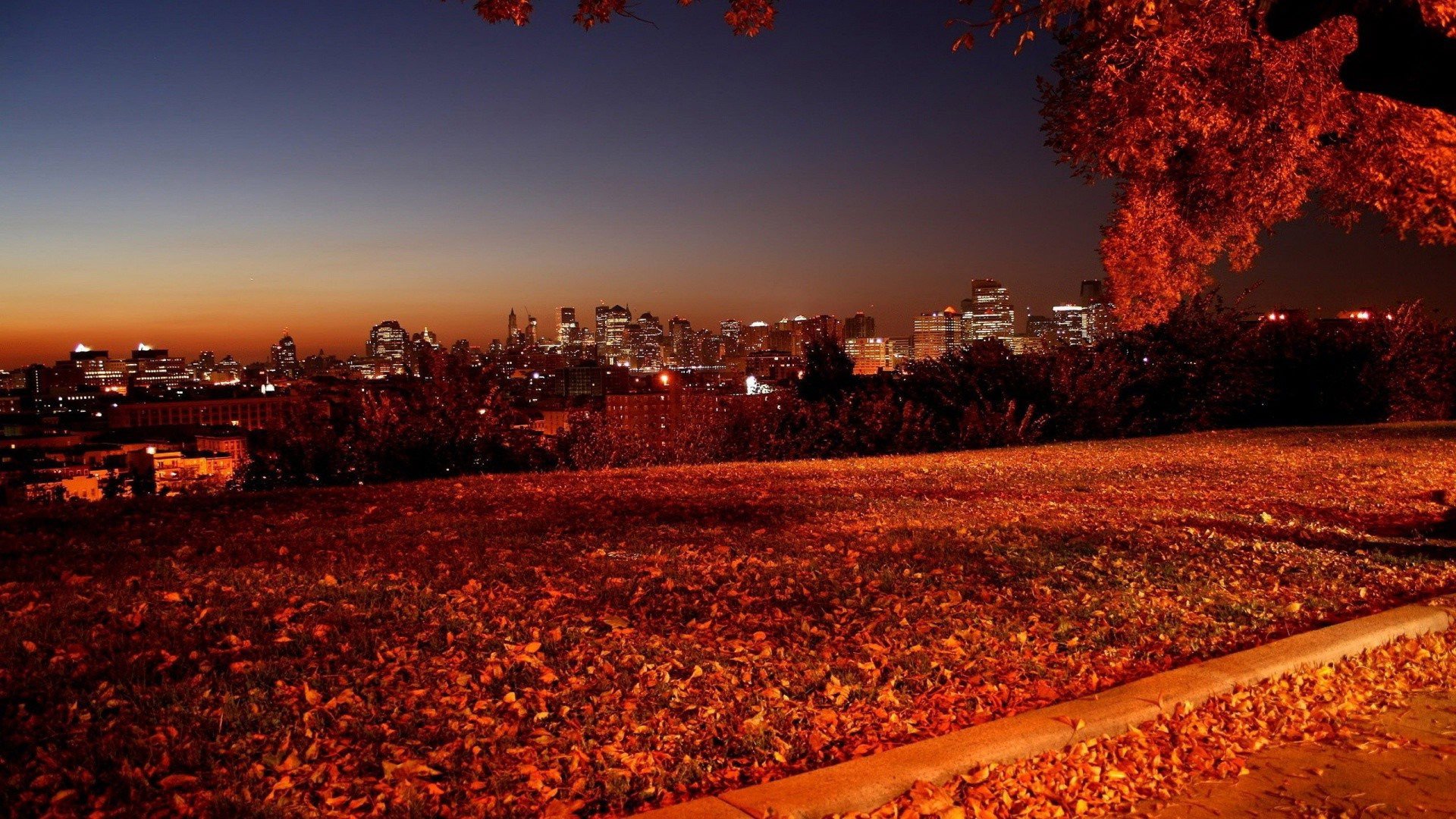 Autumn In The City Wallpaper Wallpaper Night