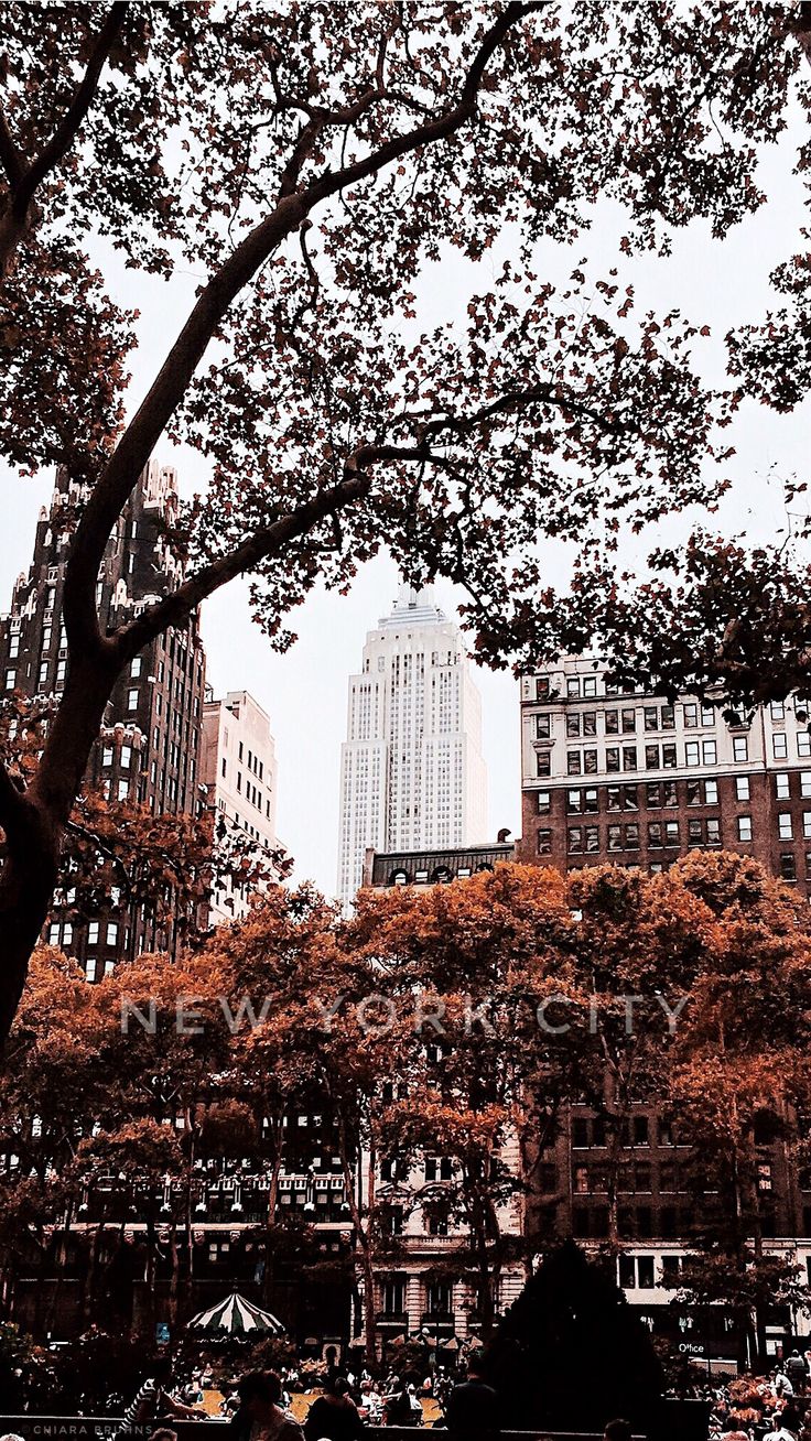 NYC Autumn Wallpaper. New york iphone wallpaper, City wallpaper, iPhone wallpaper fall