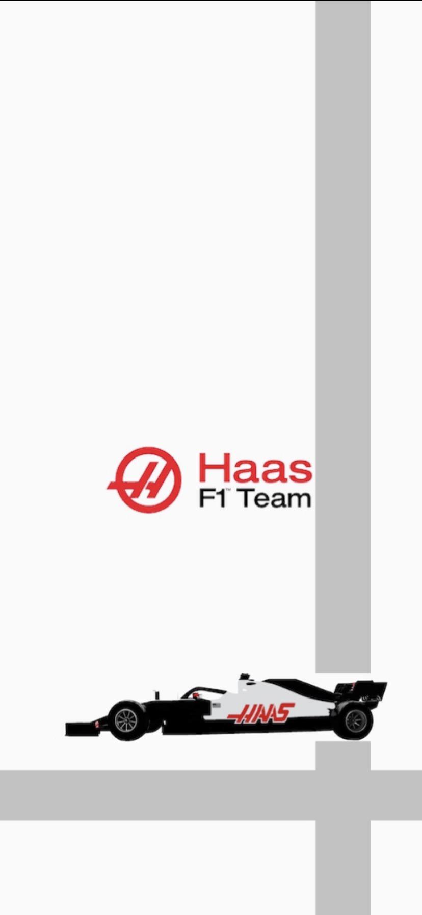 Here's a HAAS F1 Mobile Wallpaper that i made.: haasf1team