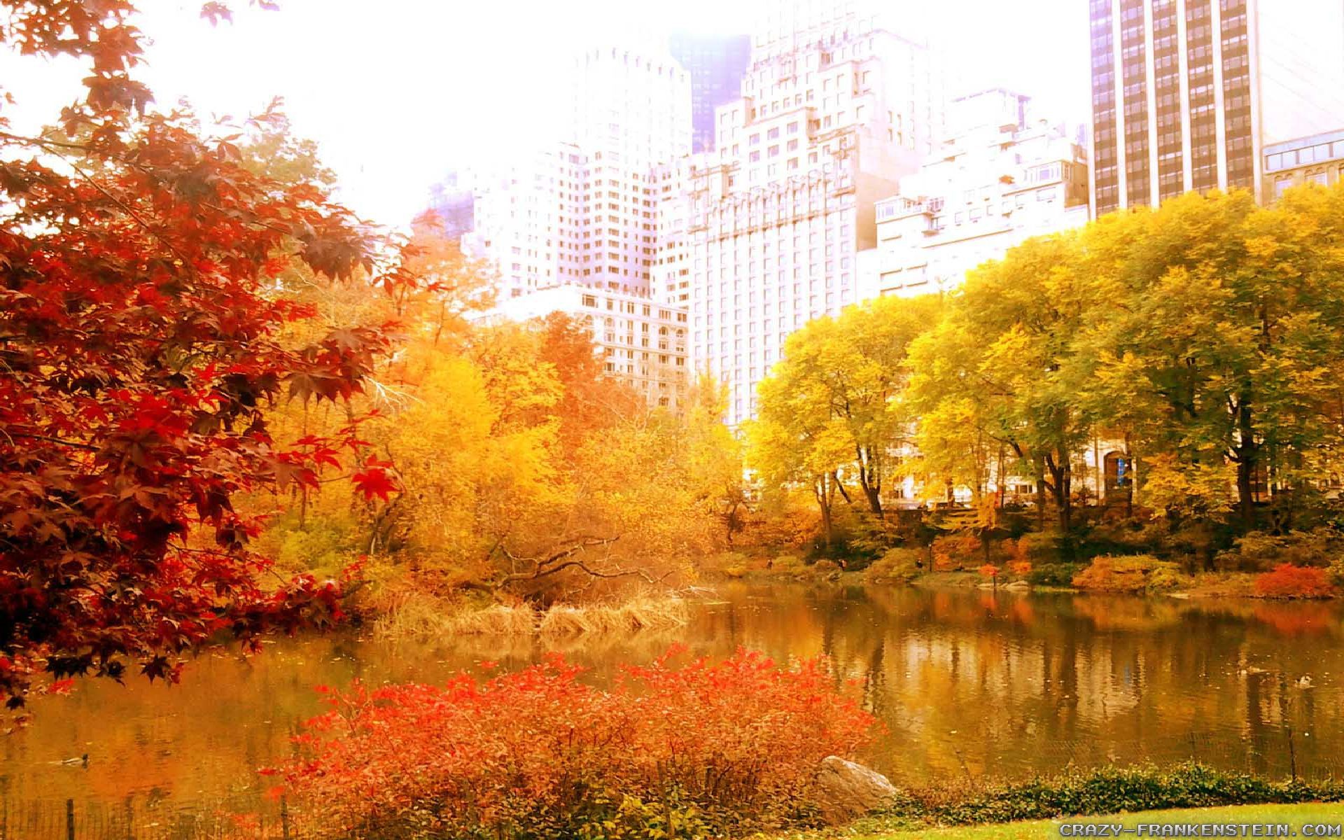 Free download new york city autumn in new york wallpaper 1920x1200jpg [1920x1200] for your Desktop, Mobile & Tablet. Explore Autumn in NYC Wallpaper. HD Spring Wallpaper For Desktop, Beautiful