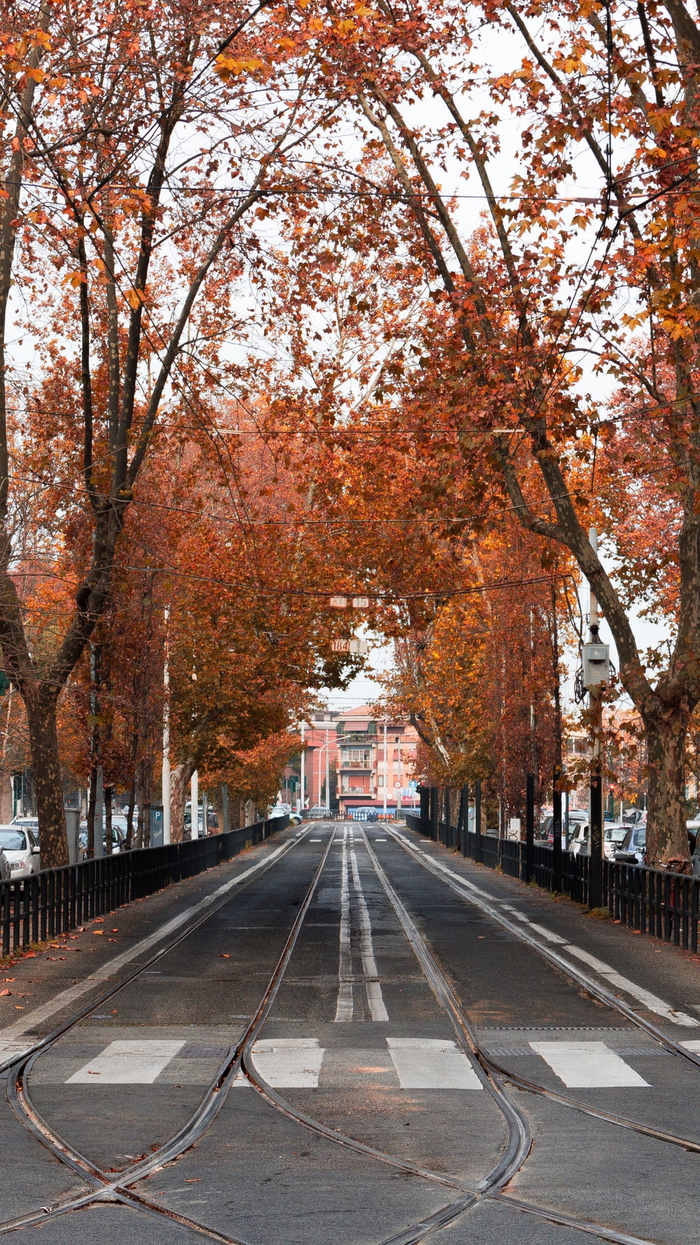 Autumn Roads Picture. Download Free Image