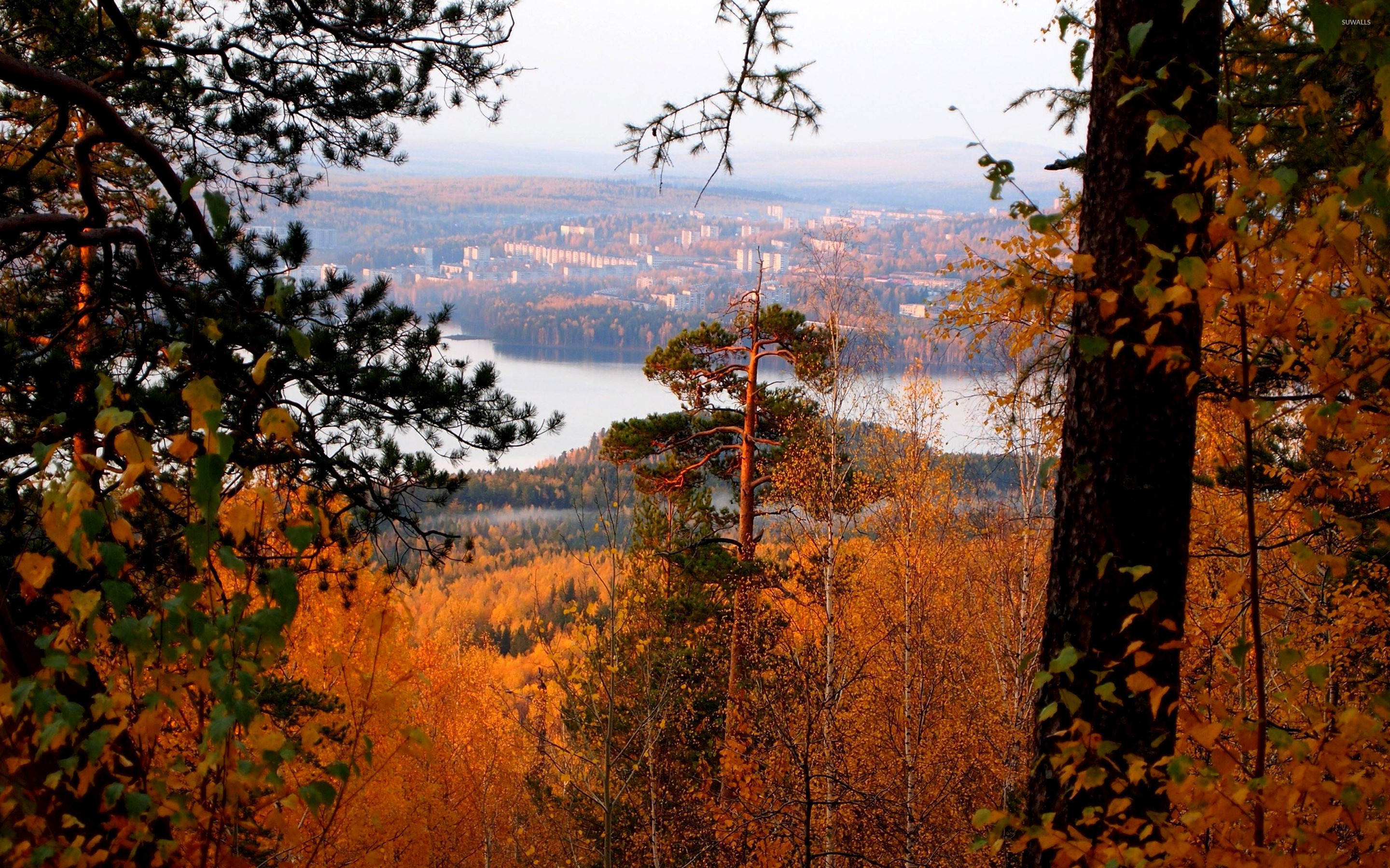 Autumn forest by the city wallpaper wallpaper