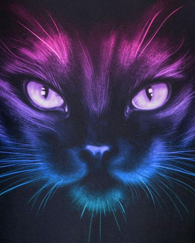 Light Cat Diamond Painting. Cat colors, Cat painting, Cute cats