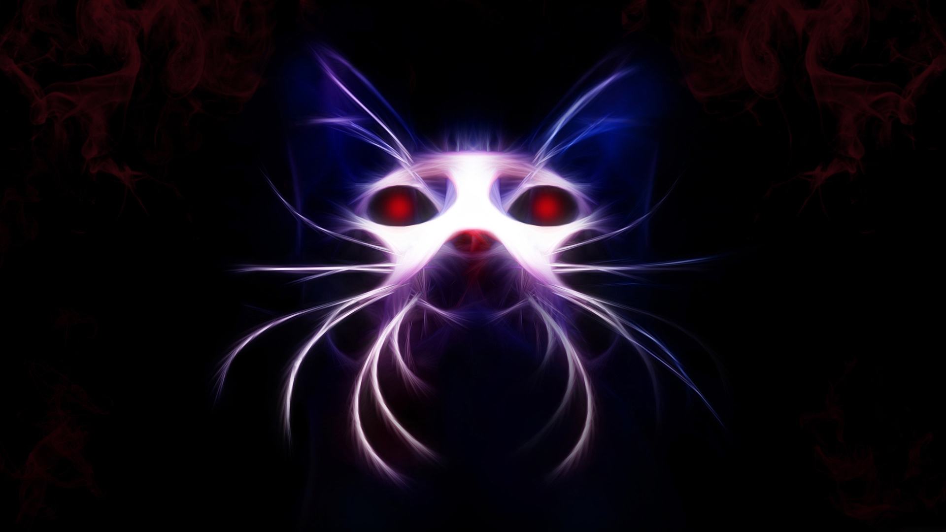Wallpaper Cat Neon Insubstantial Muzzle Background Neon Cat