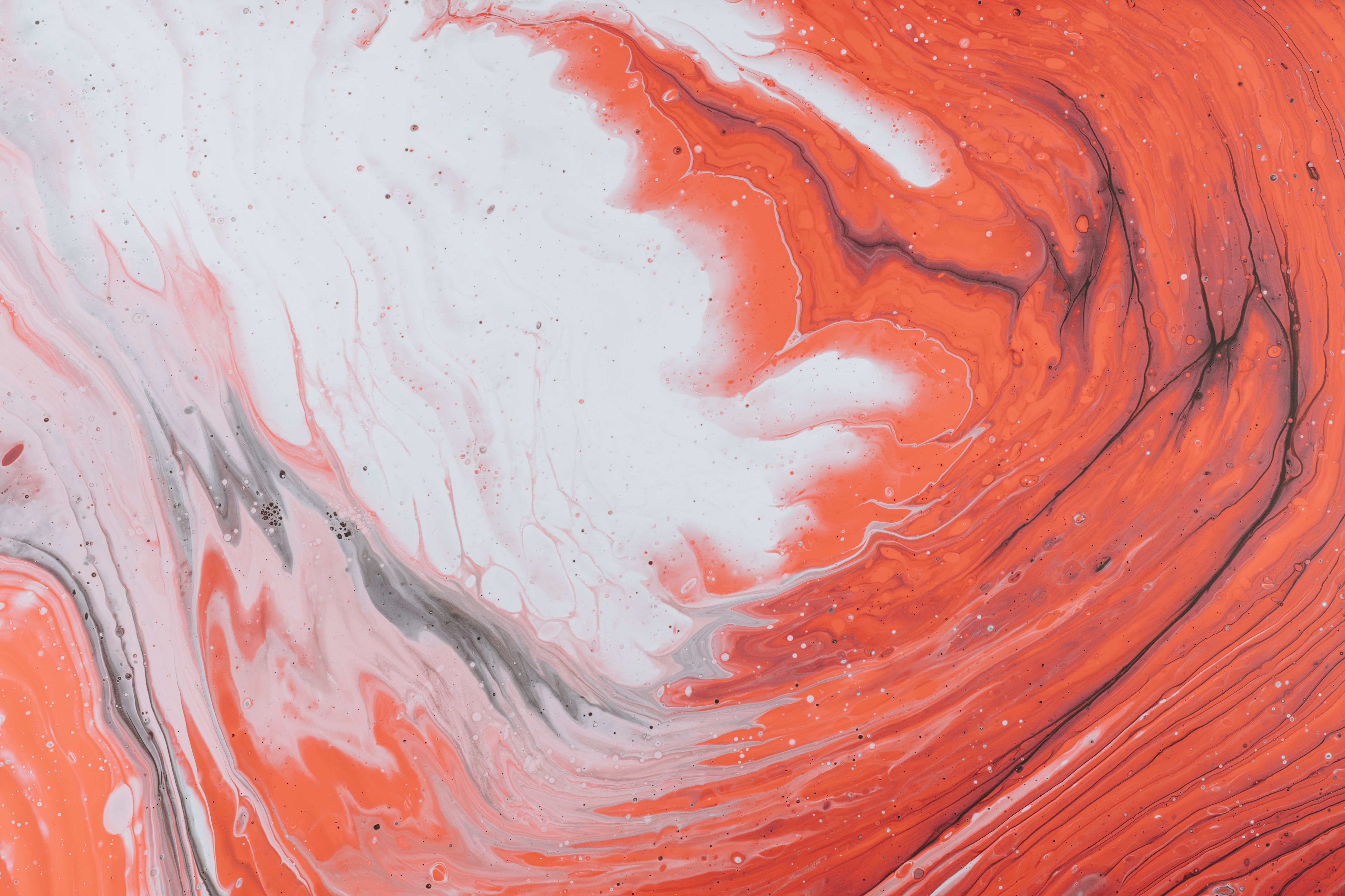 4K, abstract, colorful, orange, white, paint splatter, pink, paint splash. Mocah HD Wallpaper