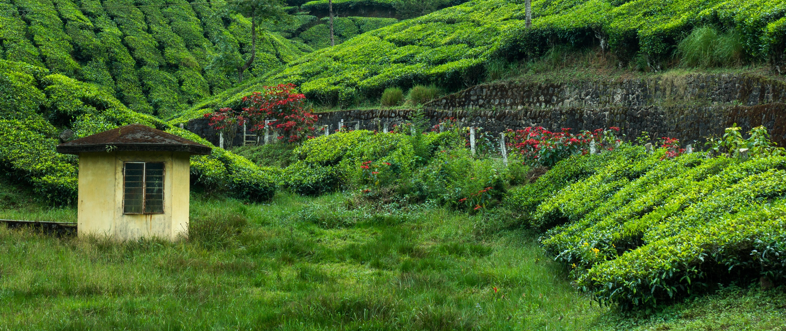 Western Ghats Wallpapers Wallpaper Cave Western Ghats Wallpapers Wallpaper Cave