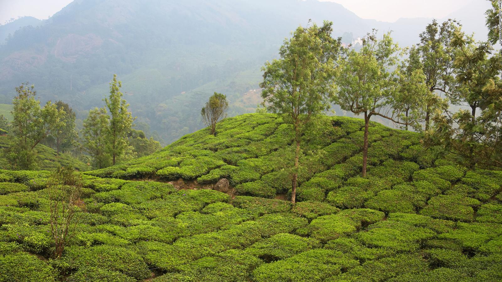 Older than the Himalayas: The Western Ghats