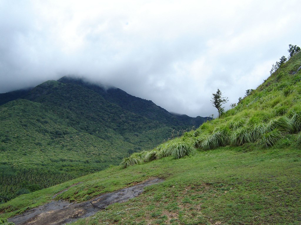 Western Ghats near ThirumalaiKovil. A View of the Western G