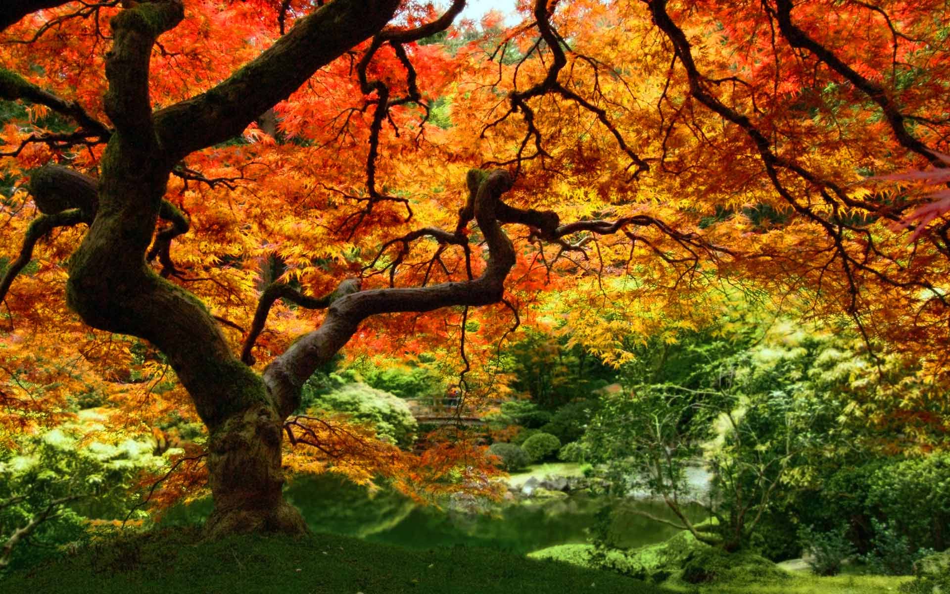 Welcome Autumn Wallpaper