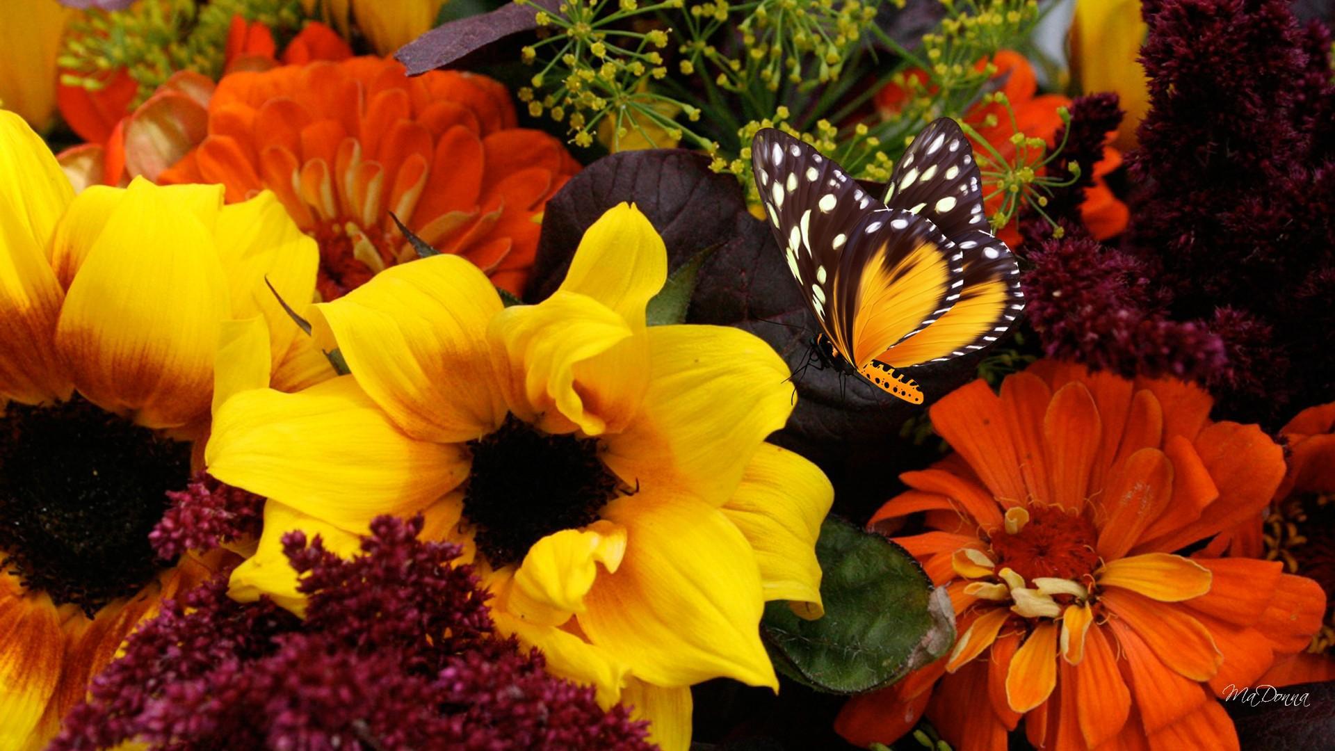 Free download fall flower arrangements wallpaper [1920x1080] for your Desktop, Mobile & Tablet. Explore Fall Flowers Wallpaper. Autumn Flower Picture for Wallpaper, Fall Flower Wallpaper for Desktop, Beautiful Fall