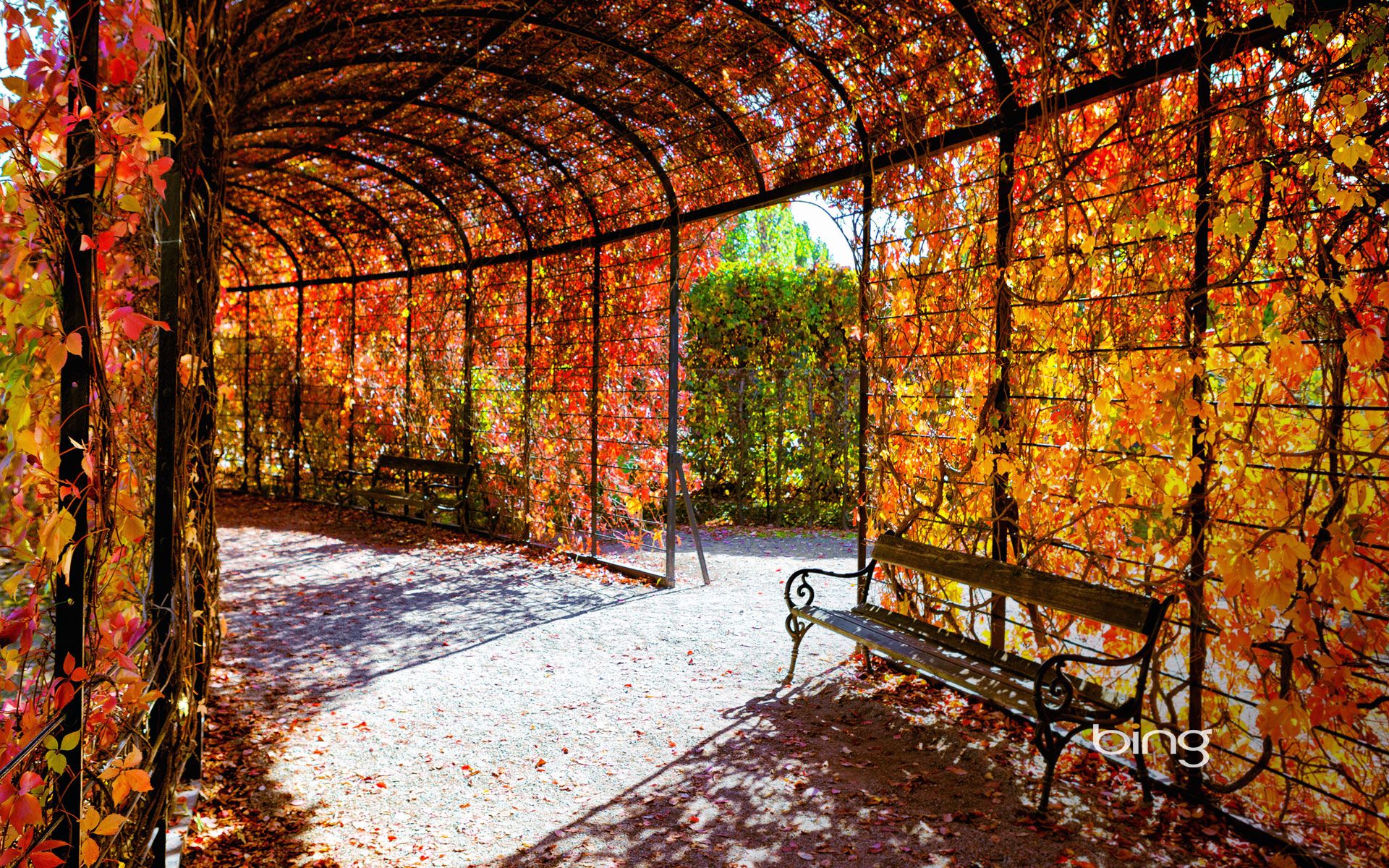 Korea Fall Wallpaper