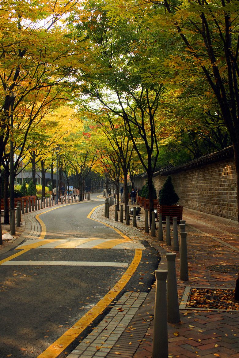 Autumn Road at Seoul. Autumn in korea, Korea wallpaper, Scenery