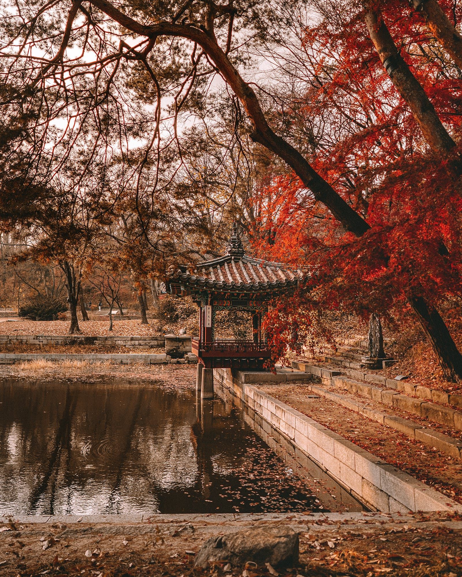 Hanguk ideas. korea wallpaper, aesthetic korea, south korea photography