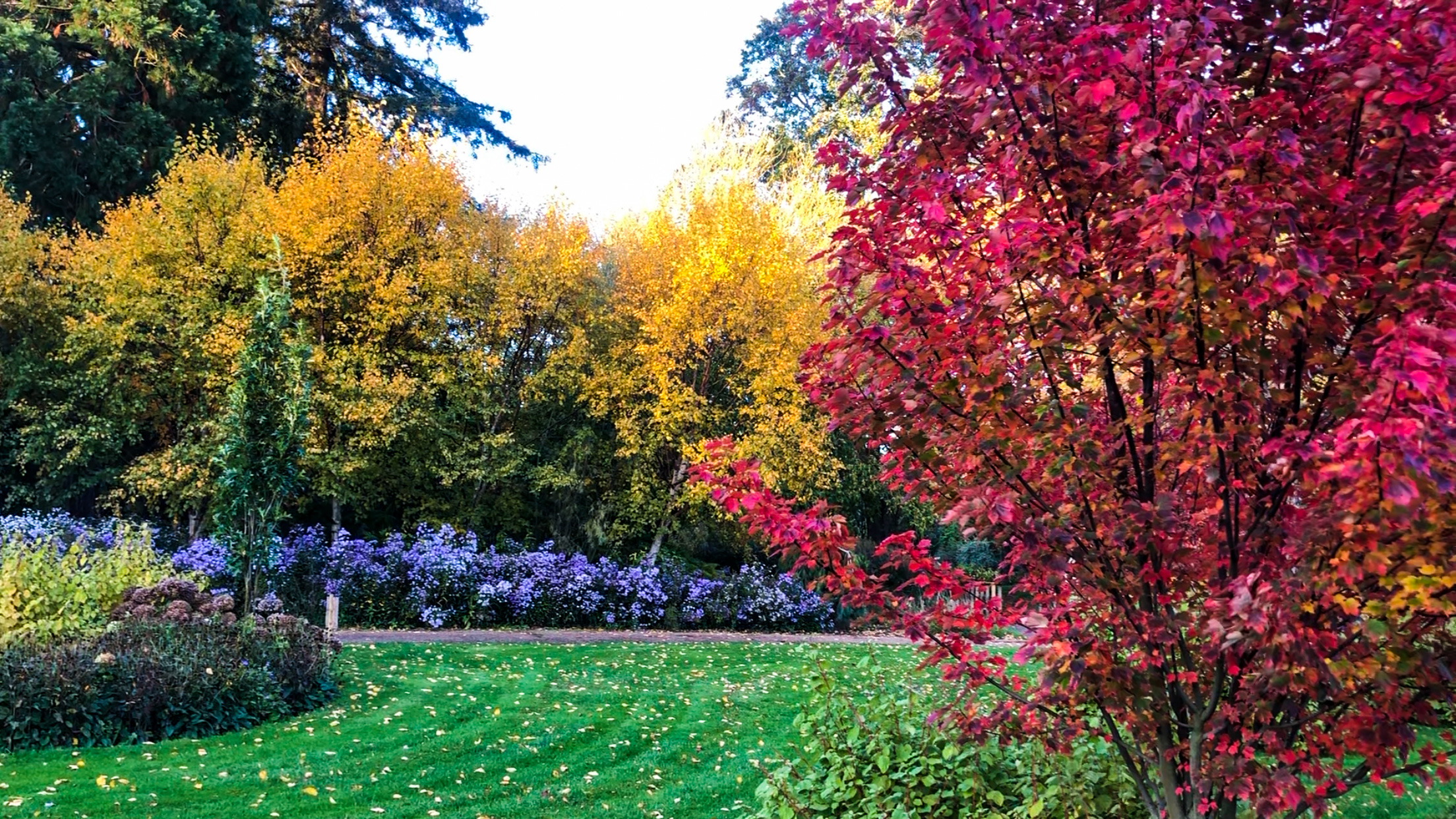An Autumn Perspective