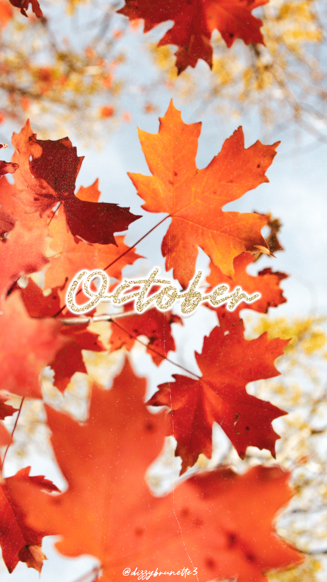 Free Autumn Wallpaper For You To